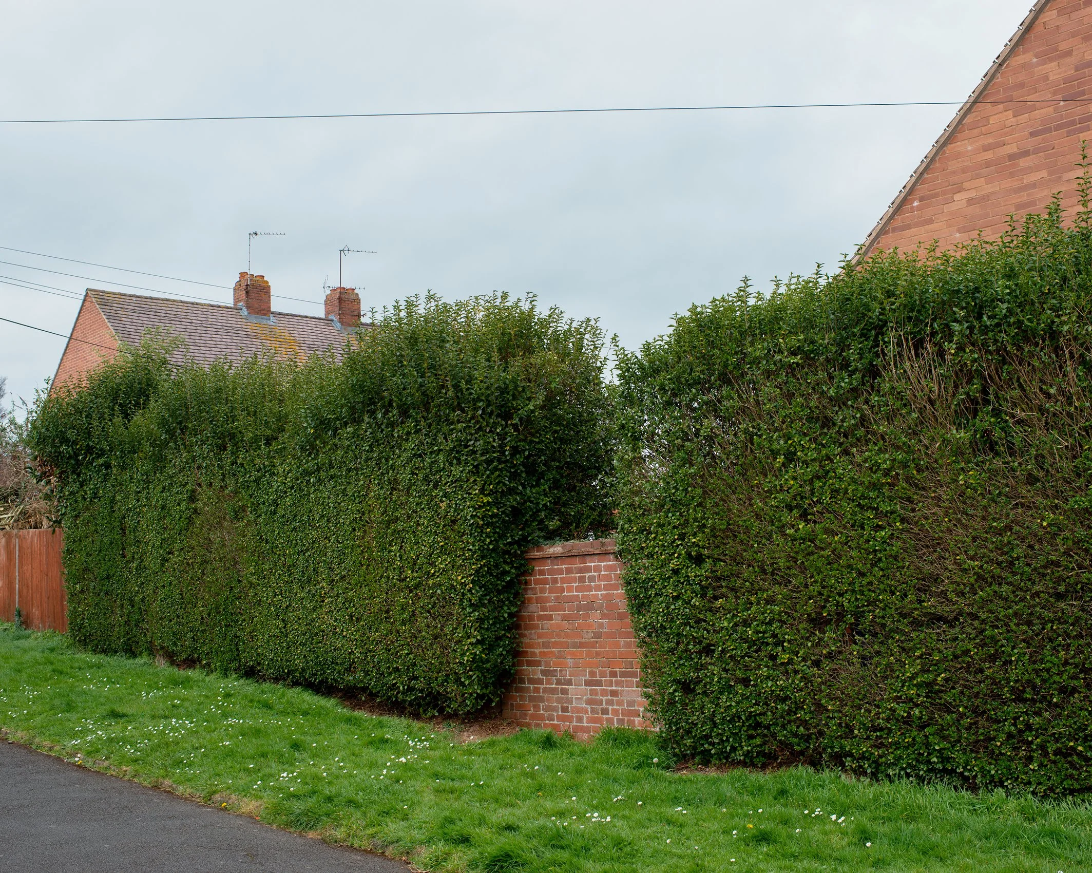 House with hedges