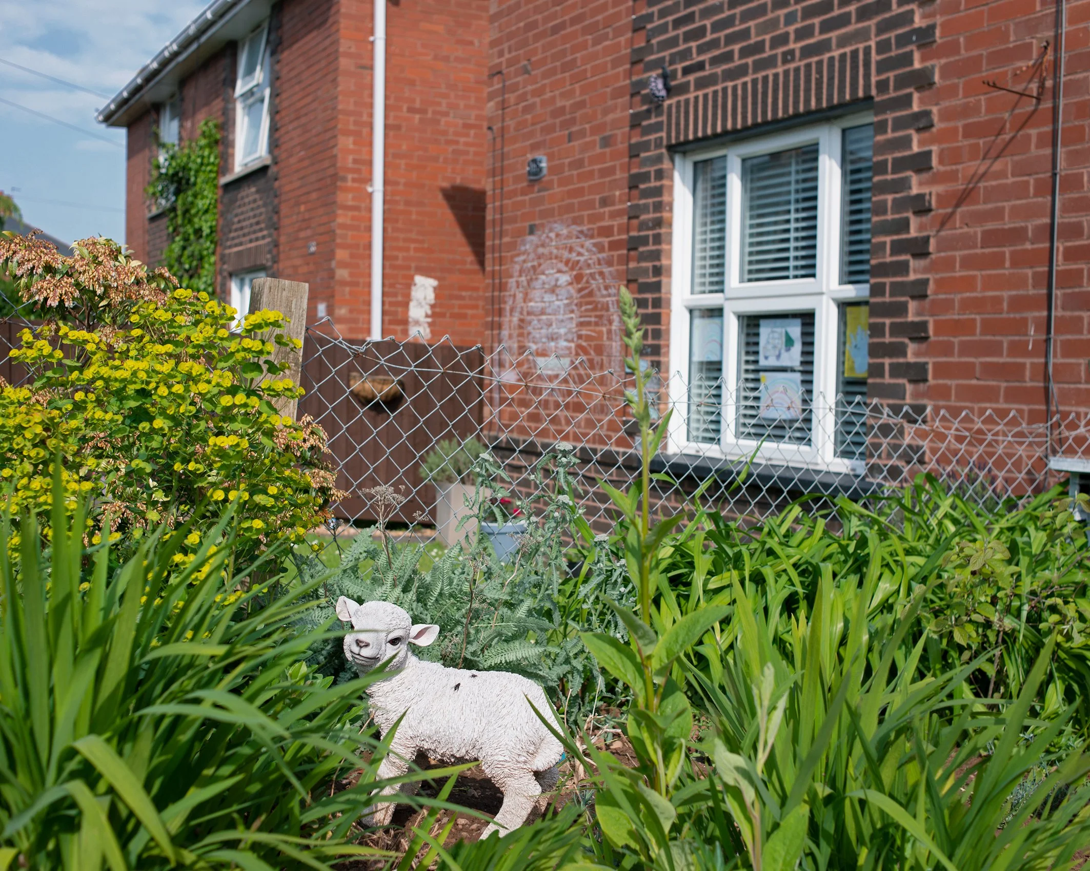 House with Lamb
