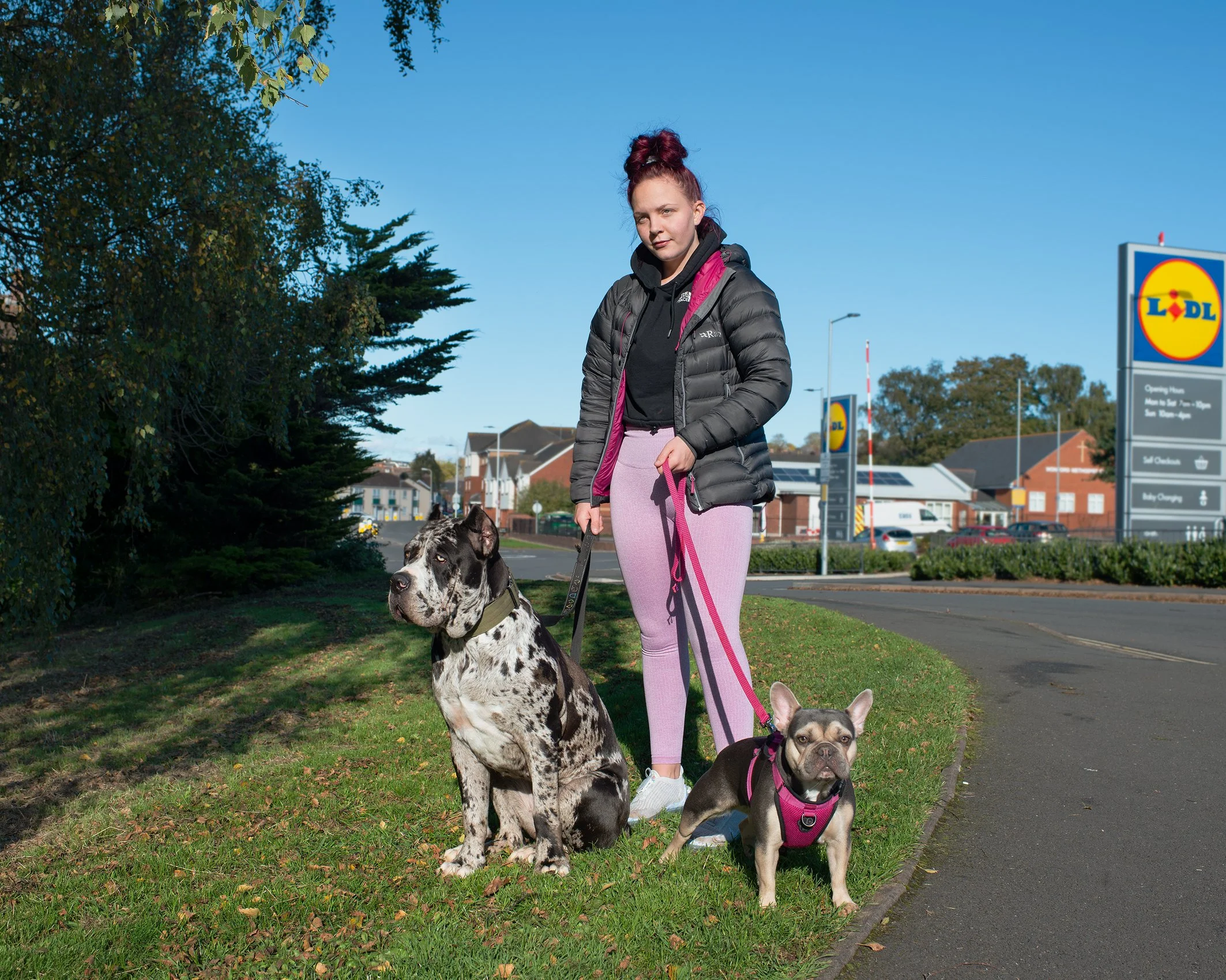 Girl walking her dogs