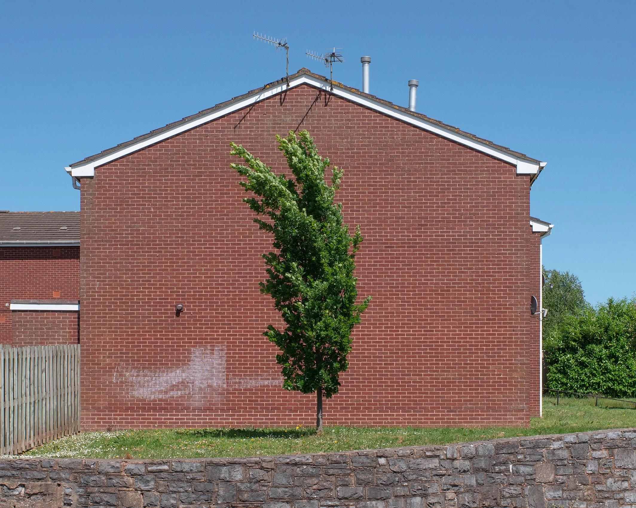 House with Tree