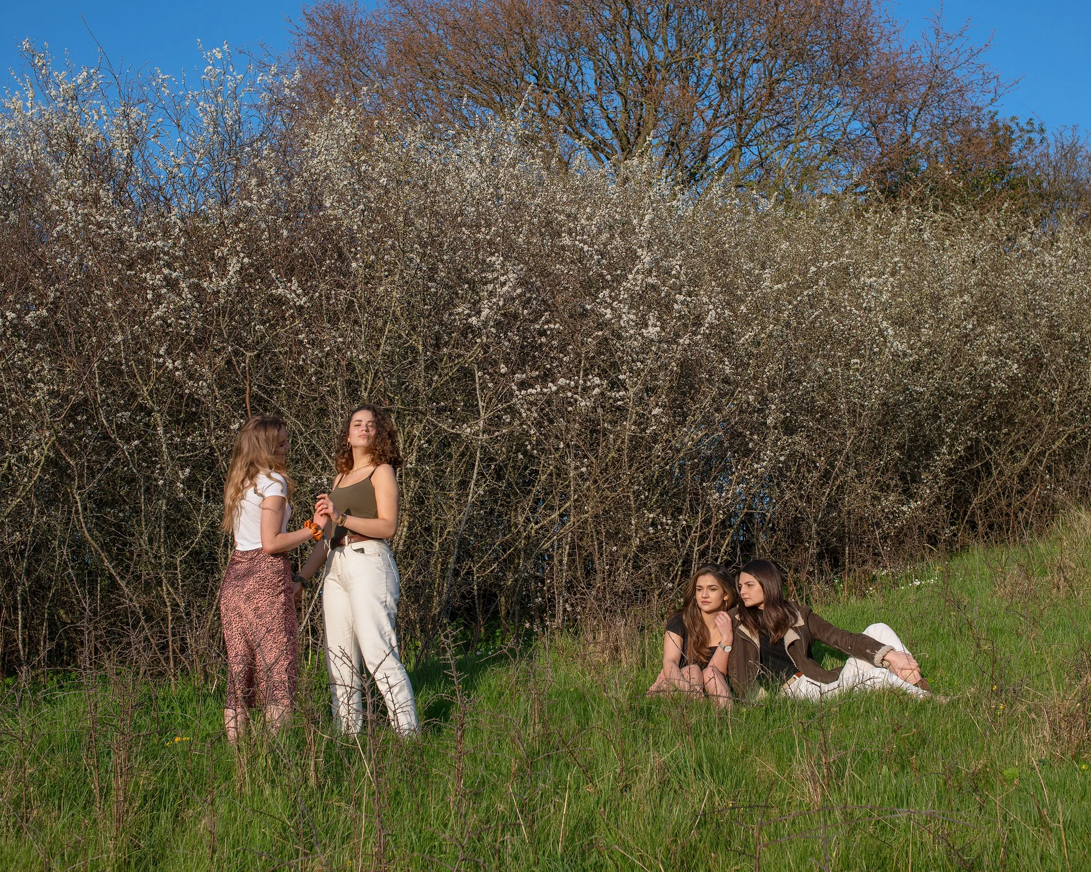 University Friends, Playing Fields