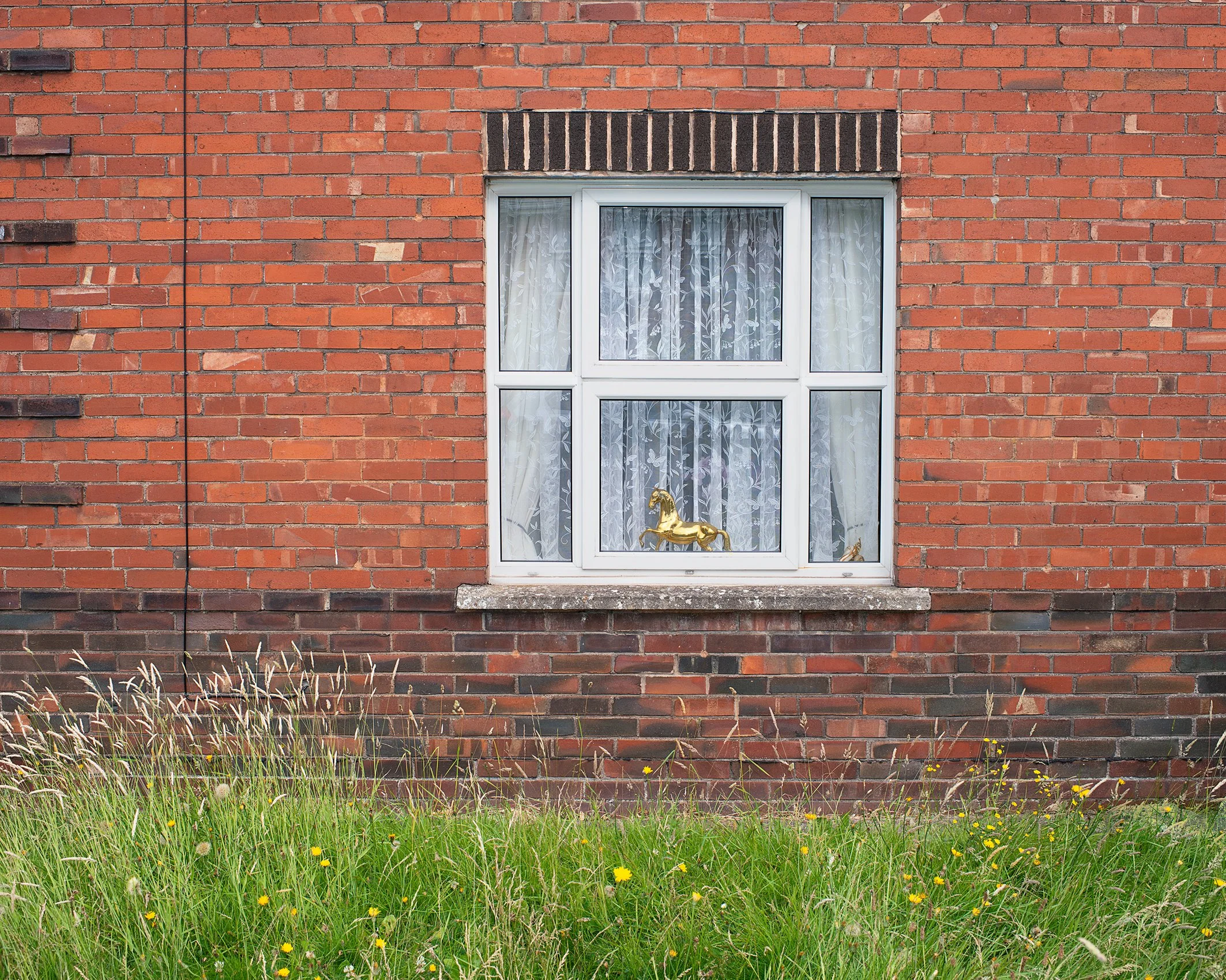 House with Golden Horse