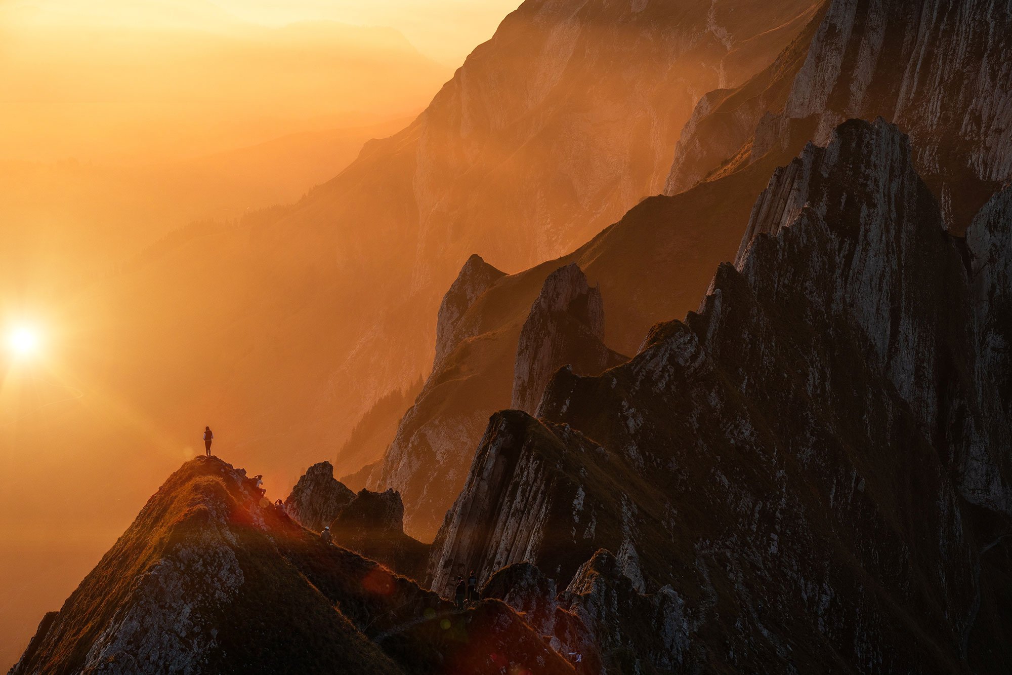 Presence Heart Ausbildung (UNVERBINDLICHE VORANMELDUNG)