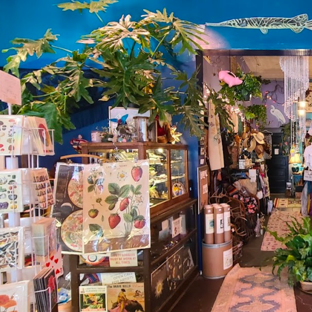 daughter-of-the-wild-san-marcos-boutique.webp