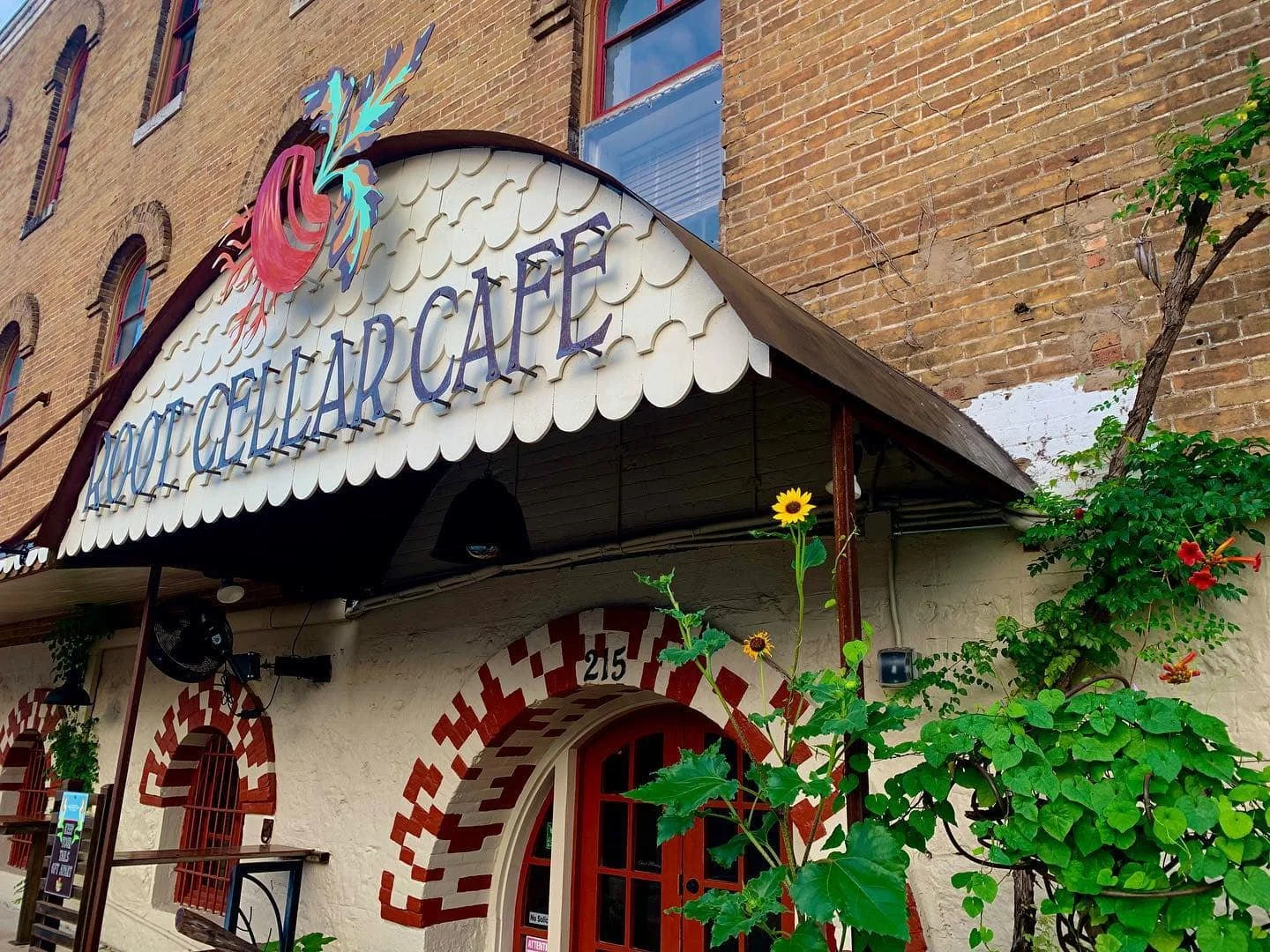 roof cellar cafe san marcos.jpg