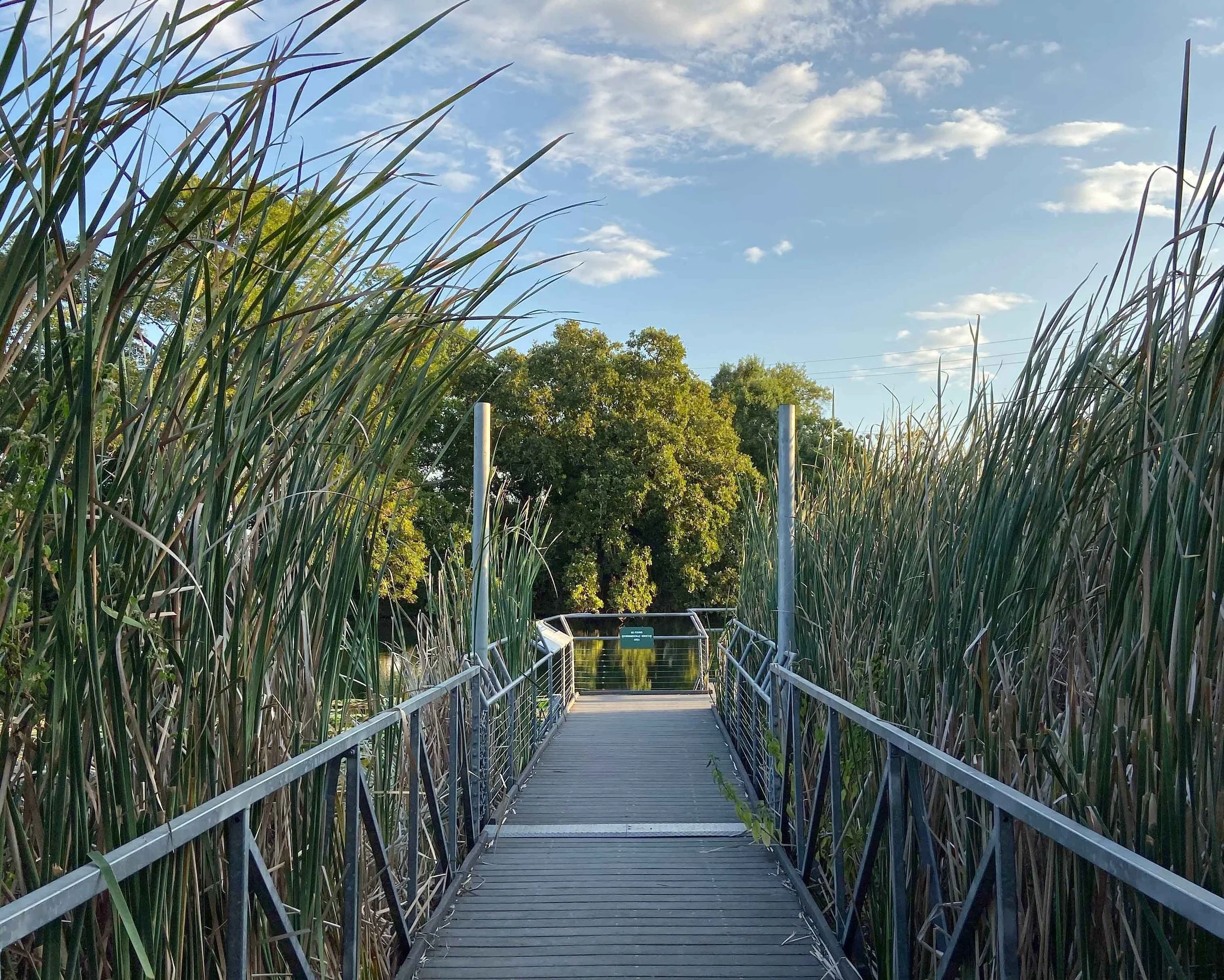 Wetlands Boardwalk in San Marcos.jpg
