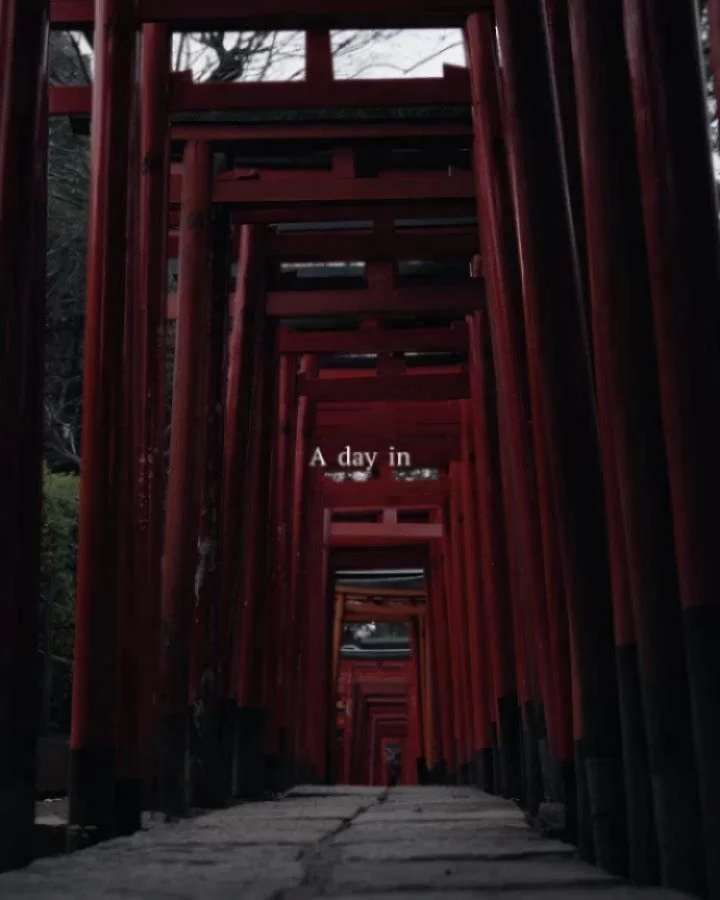 A day in Tokyo.

From Nezu shrine (根津神社) to Yanaka Ginza ( 谷中銀座) with my 📸