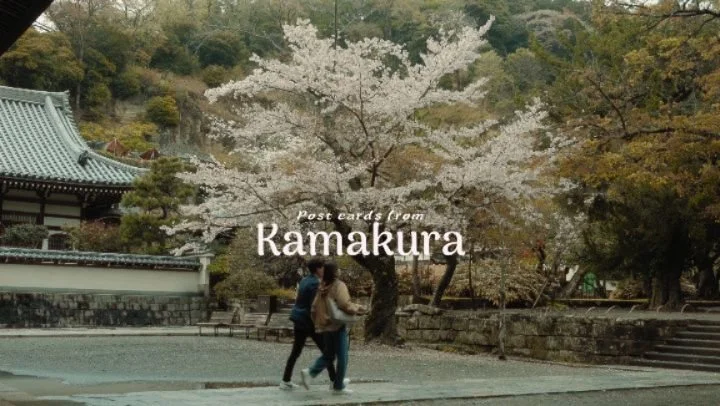Post cards from Kamakura 🌸

最近よく鎌倉行く機会があるけど、何回行っても癒される。

Shots on Sony a7RIV📸