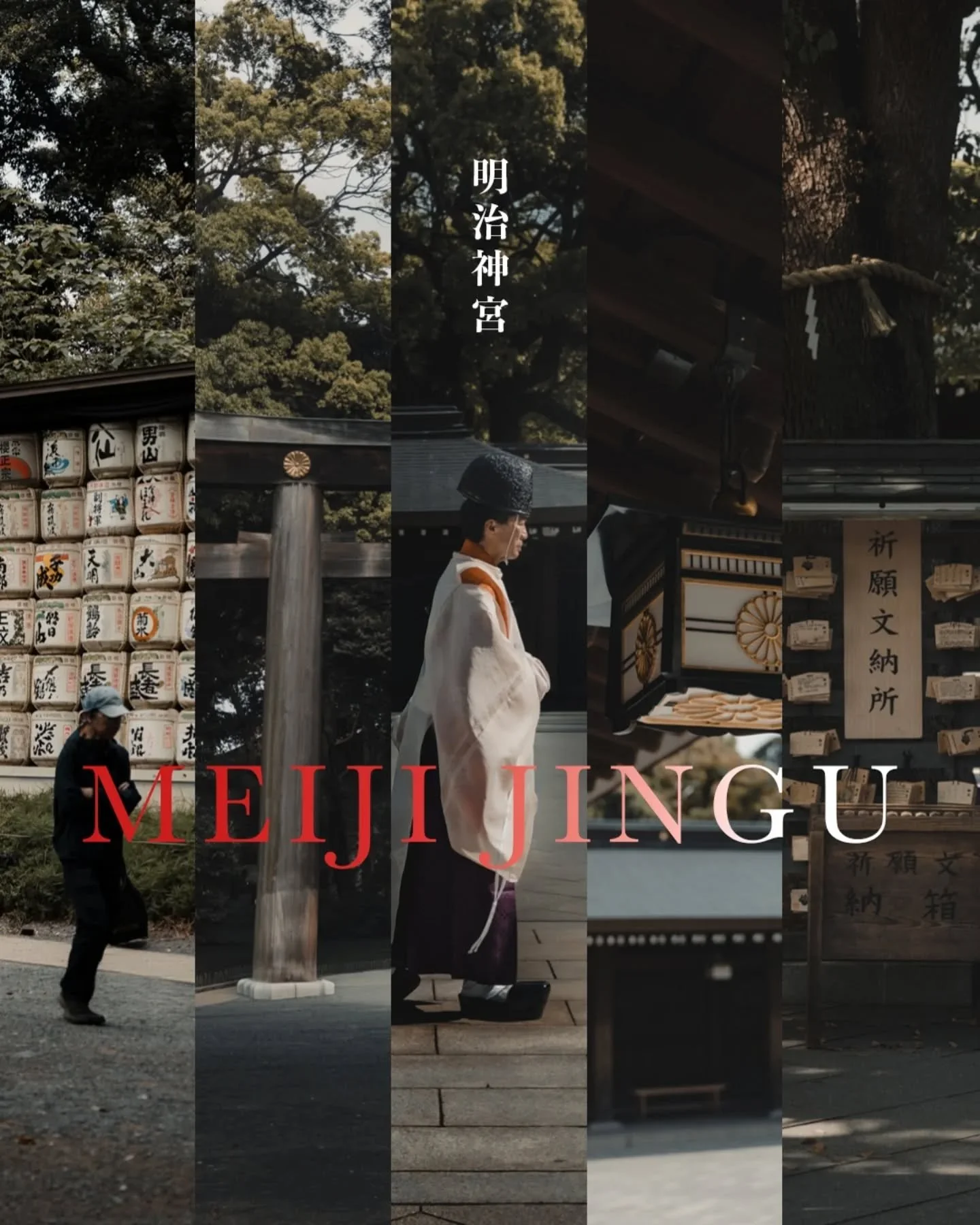 Meiji Jingu / 明治神宮
One of my favourite shrines where nature suddenly appears in the middle of Tokyo.
I often come here for walks and the occasional picnics (you know the spots if you've been there 😁)

ちょくちょく来る明治神宮。
見晴らしのいい芝生のエリアにただただ座って過ごす🍵
何もしない時間