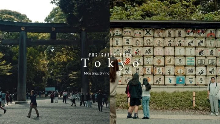 Post cards from Tokyo.

📍Meiji Jingu Shrine / 明治神宮

Shots on Sony a7RIV @sonyalpha