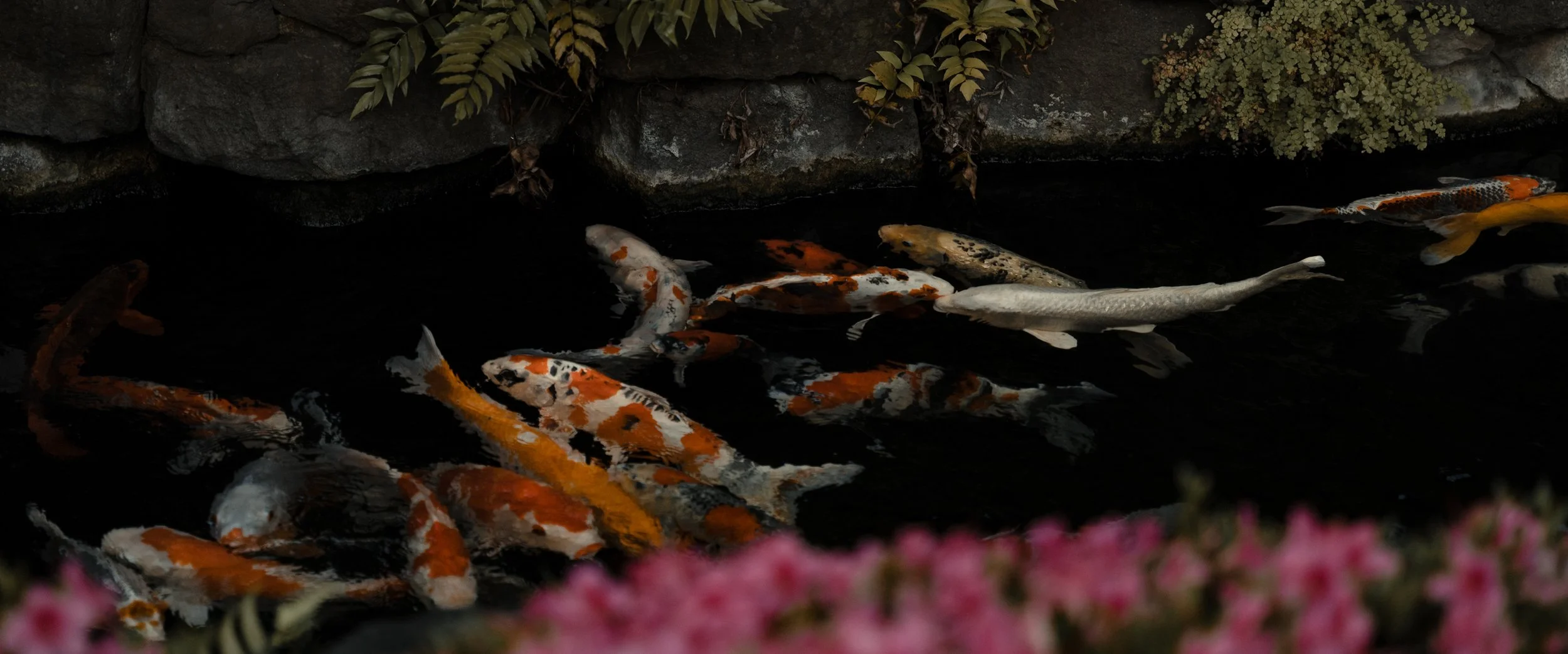 DSC04476.jpg