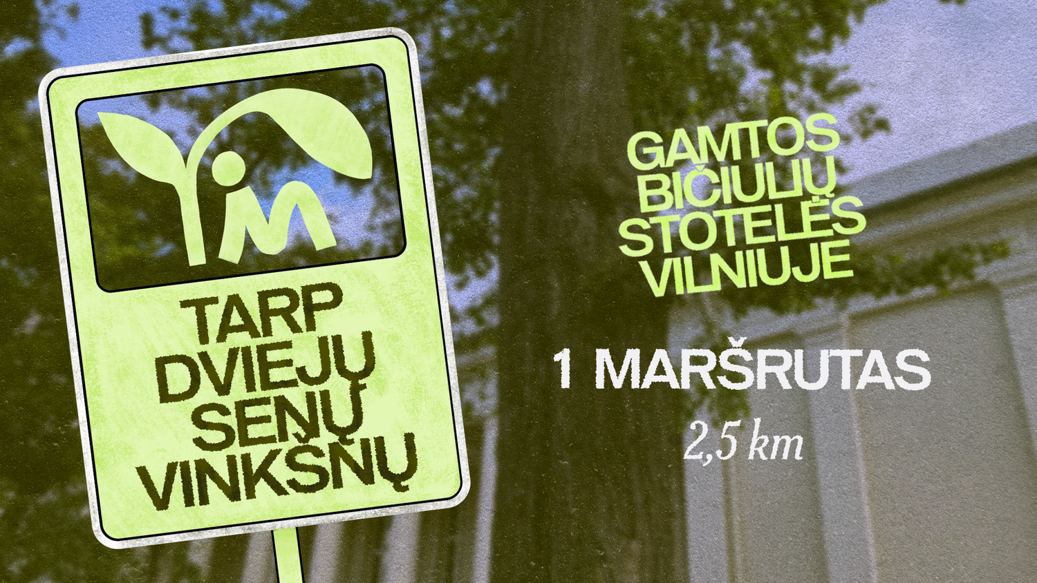 Tarp dviejų senų vinkšnų