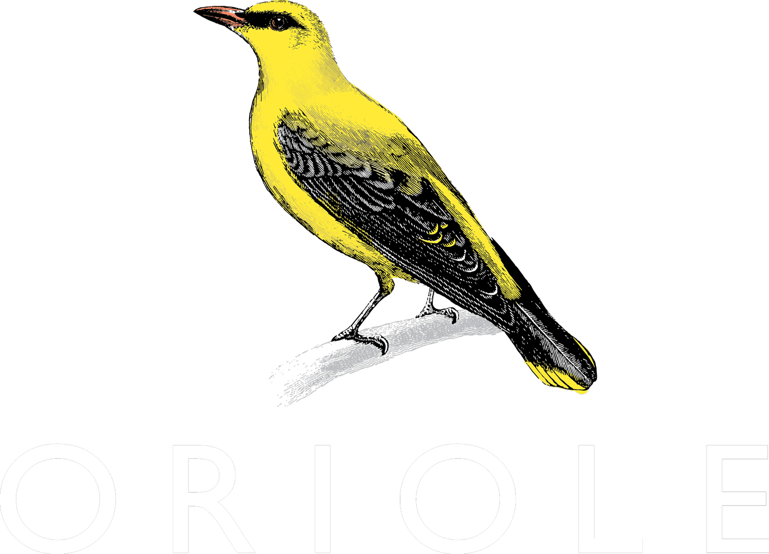 Oriole Bar and Restaurant