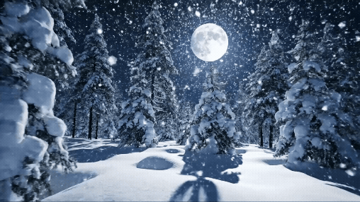 Firefly snowy landscape at night with falling snow 58698.gif