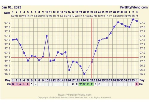 How to Know When You’re Fertile – AKA Baby Making Time — The Sanctified ...
