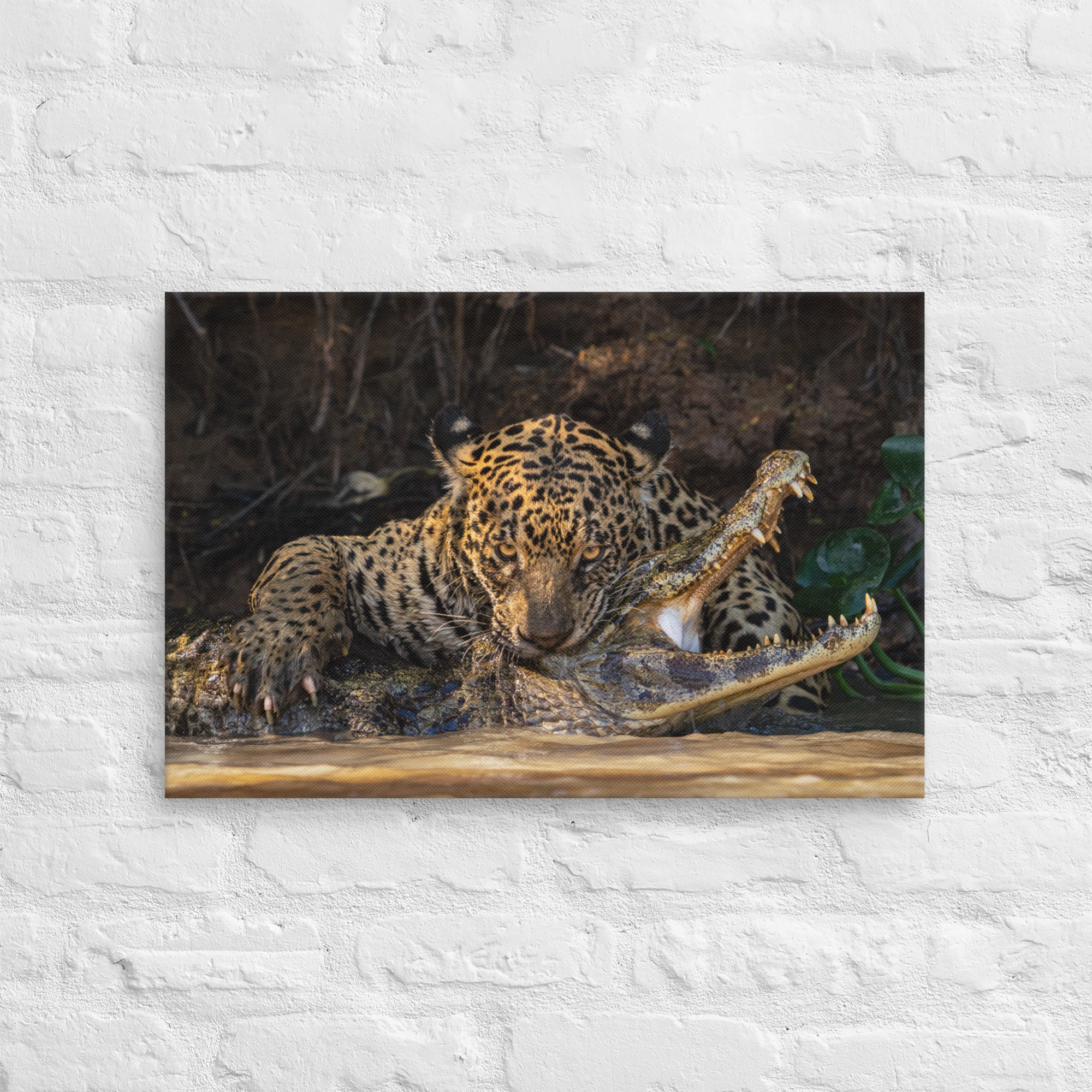 canvas-(in)-16x24-front-67237d0bed56f.jpg