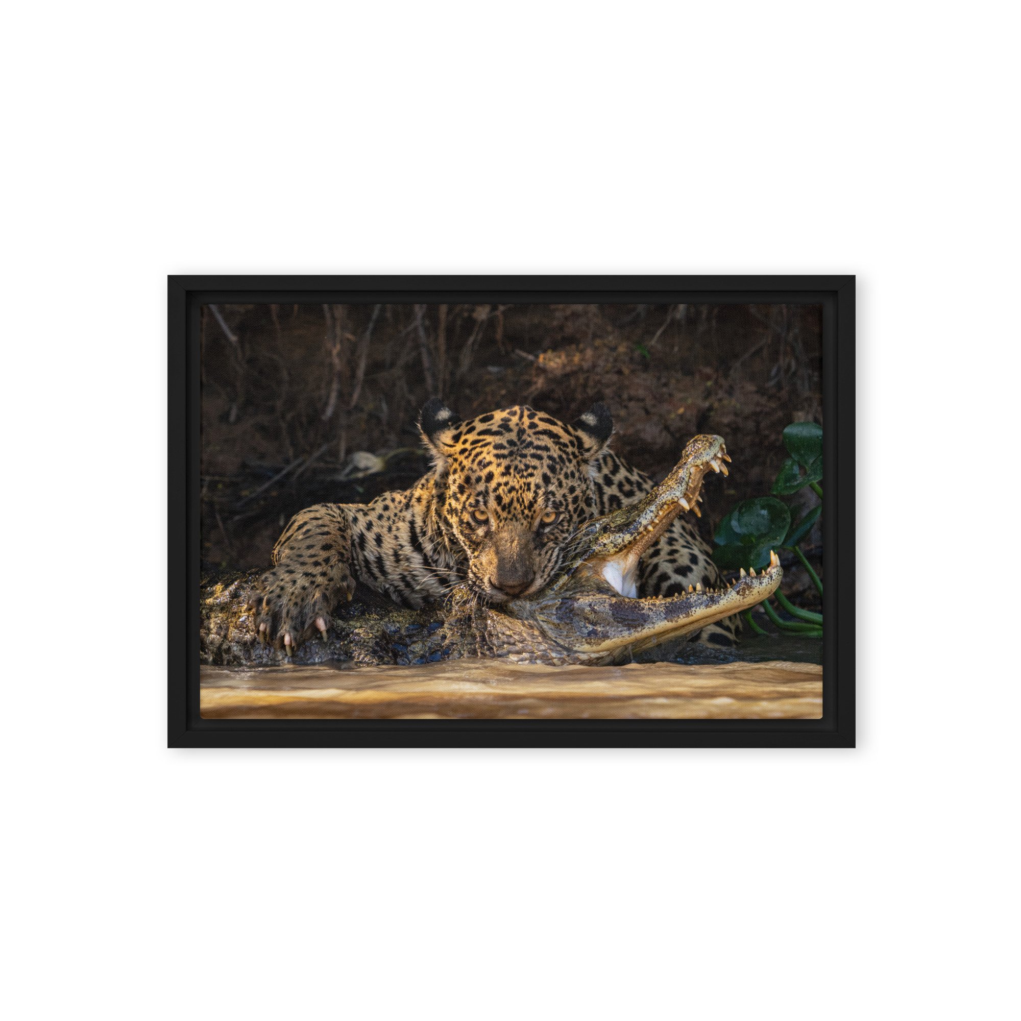 framed-canvas-(in)-black-12x18-front-67237d520e01b.jpg