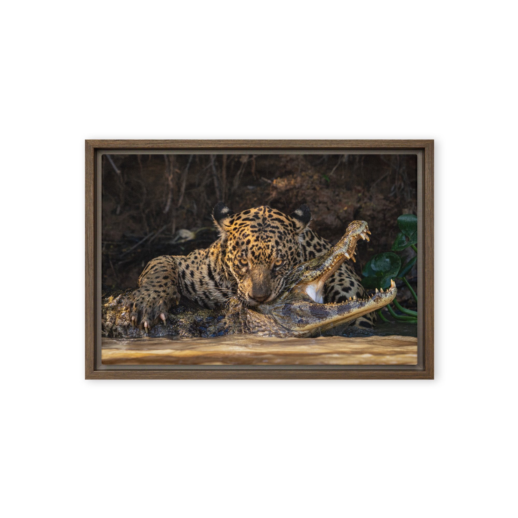 framed-canvas-(in)-brown-12x18-front-67237d520e29a.jpg