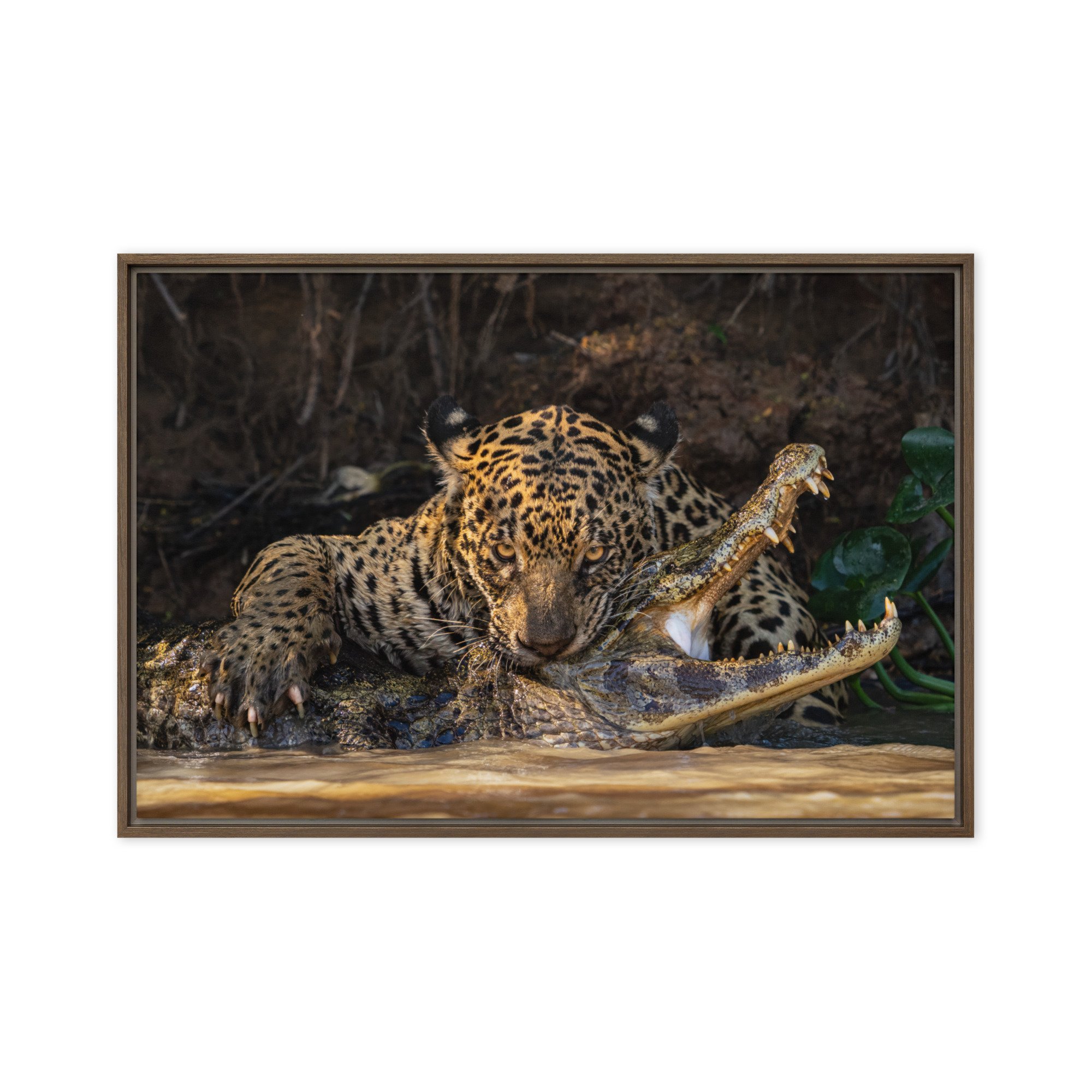 framed-canvas-(in)-brown-24x36-front-67237d520e3b9.jpg