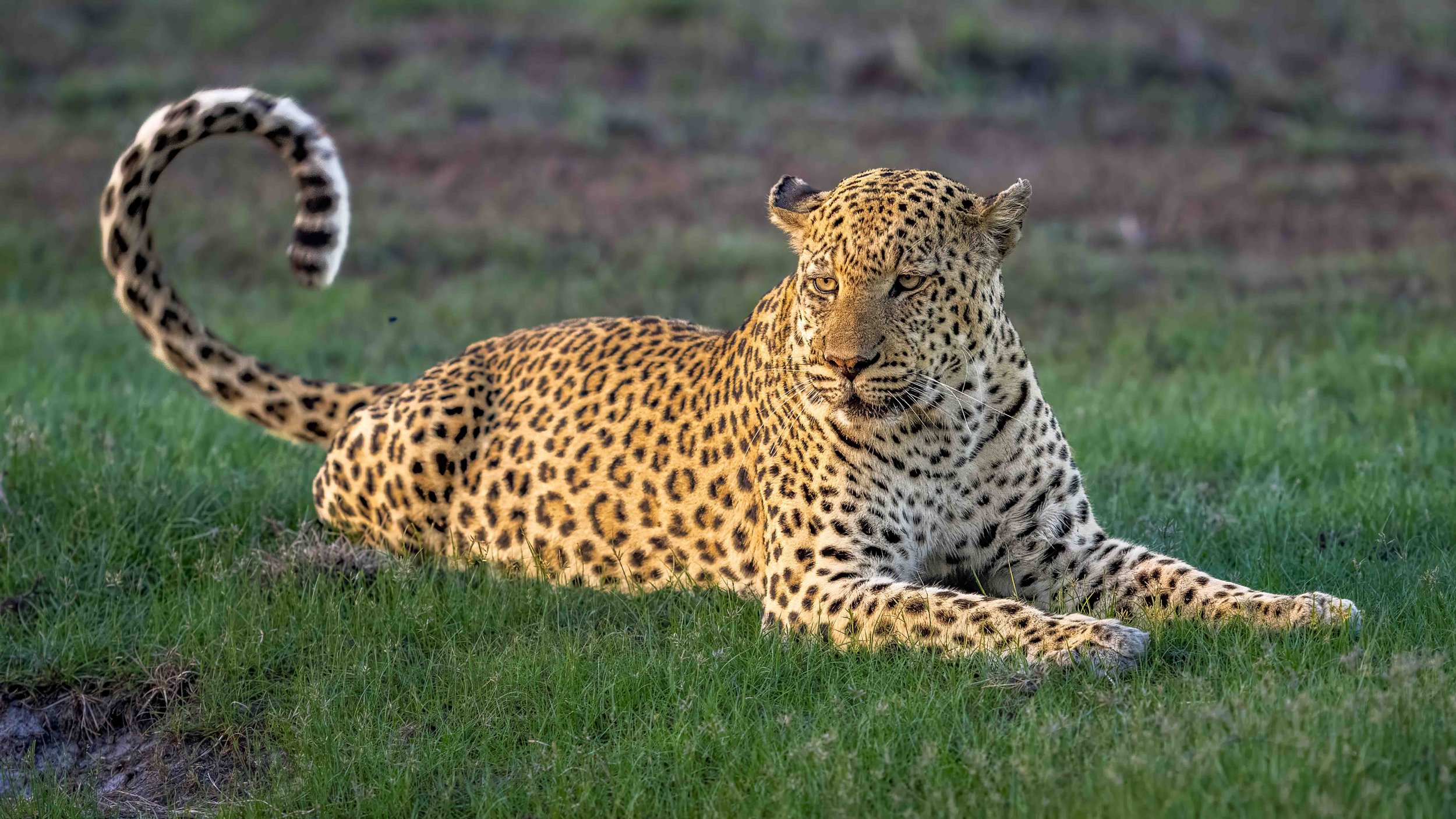 DSC04841-Edit.jpg