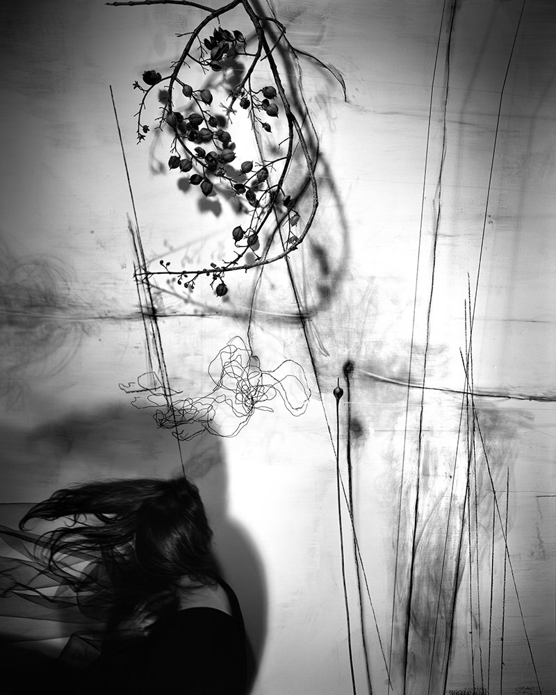 Lauren Semivan Branches, 2011 Archival ink prints 30 x 24"    Edition of 10 50 x 40"    Edition of 5