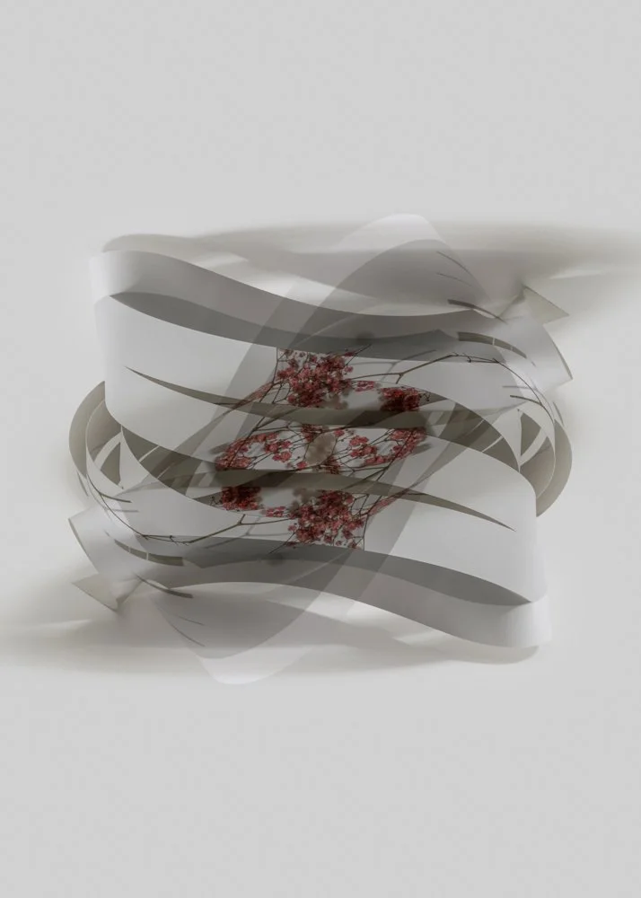 DELPHINE BURTIN - FRAGMENTS