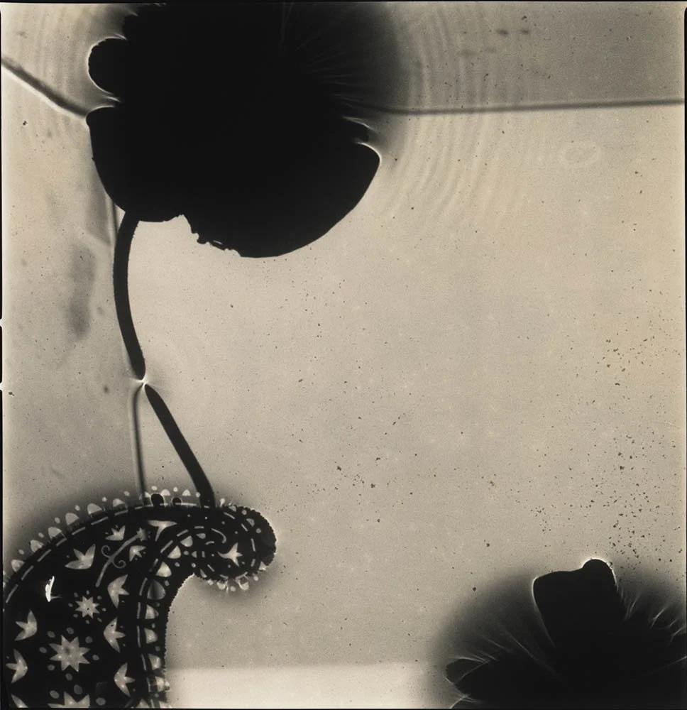 Hiroshi Watanabe, Lotus Dreams 18, 2018