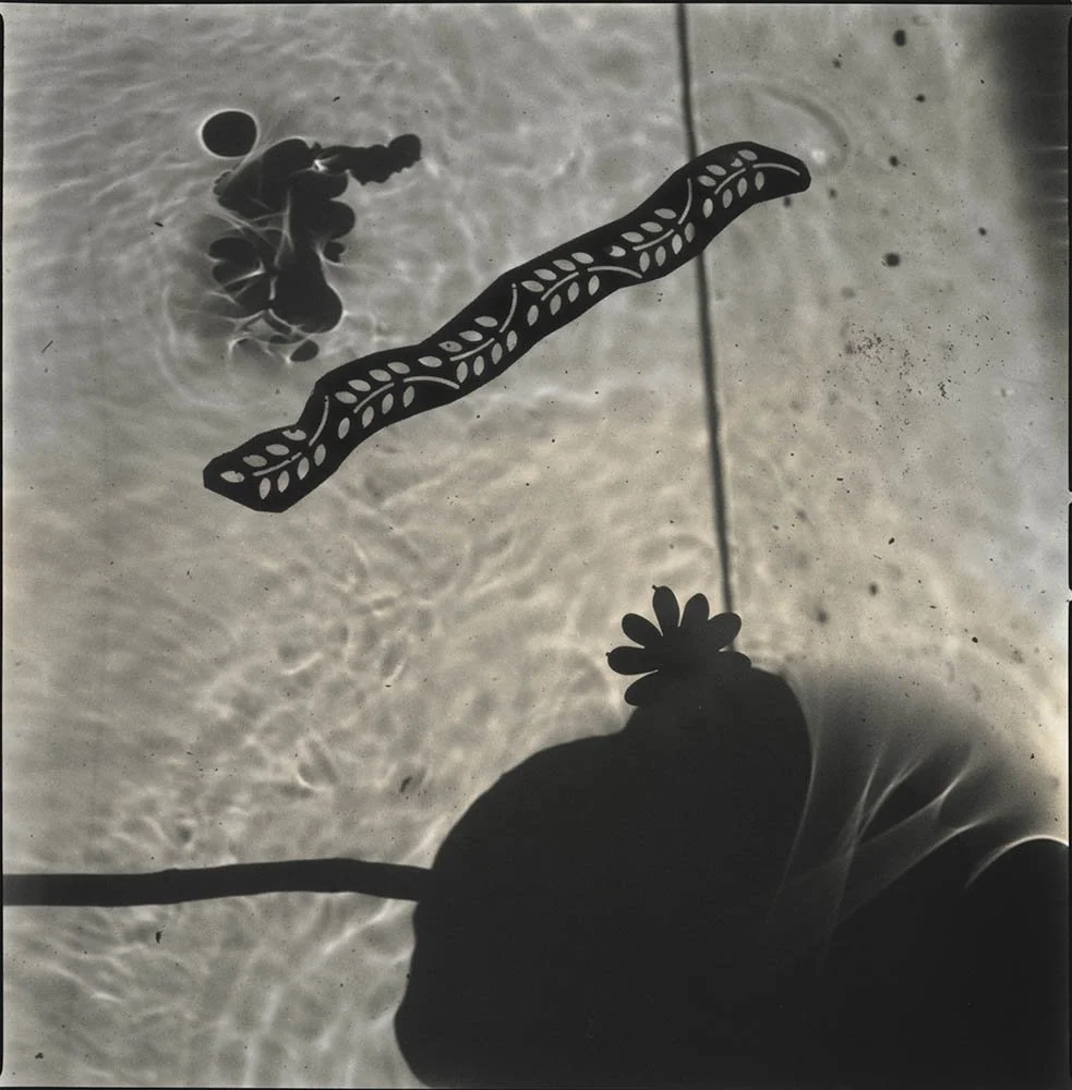 Hiroshi Watanabe, Lotus Dreams 28, 2018