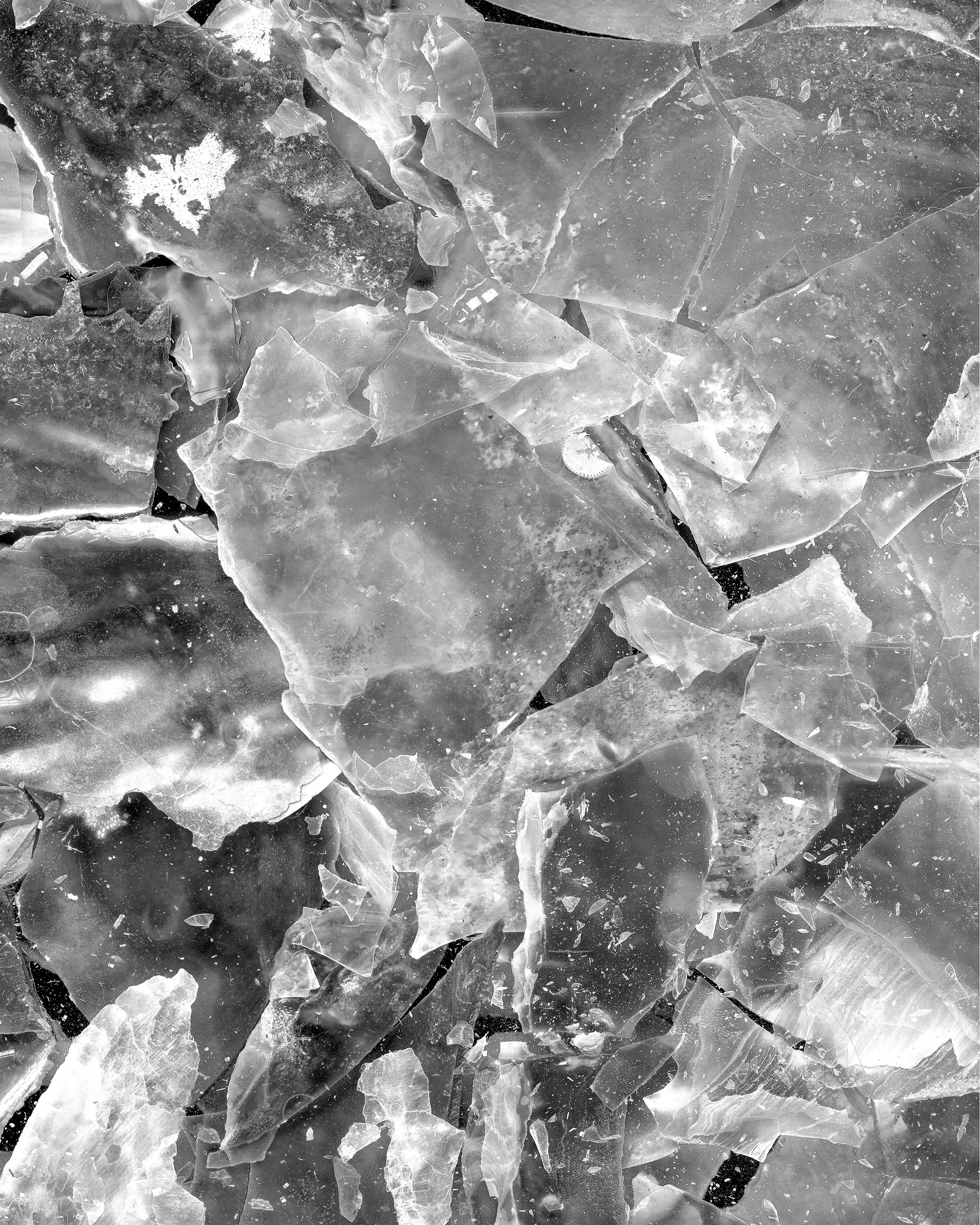 KATHERINE WOLKOFF - THE CRITICAL ZONE