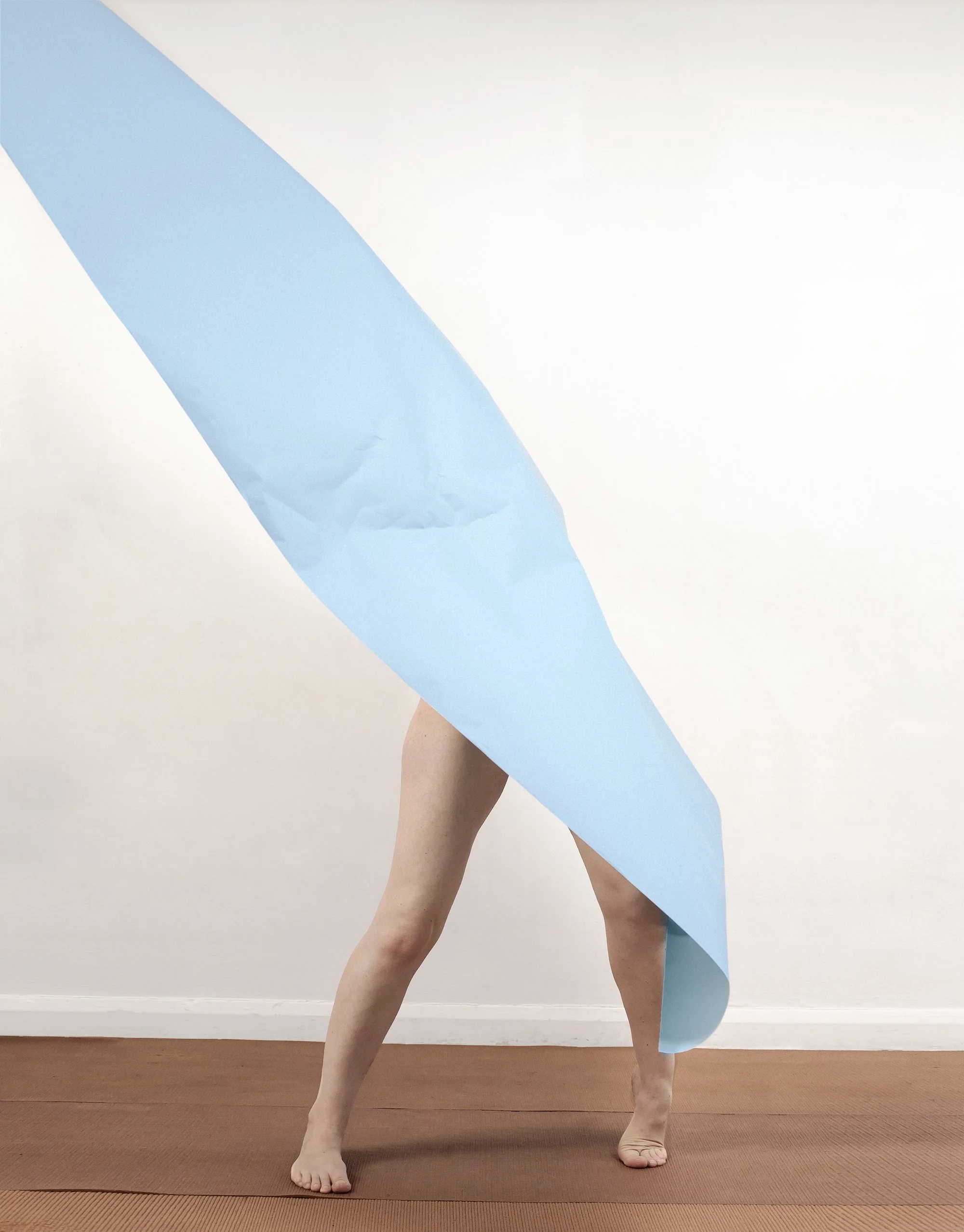 POLLY PENROSE - SELF OBSCURED