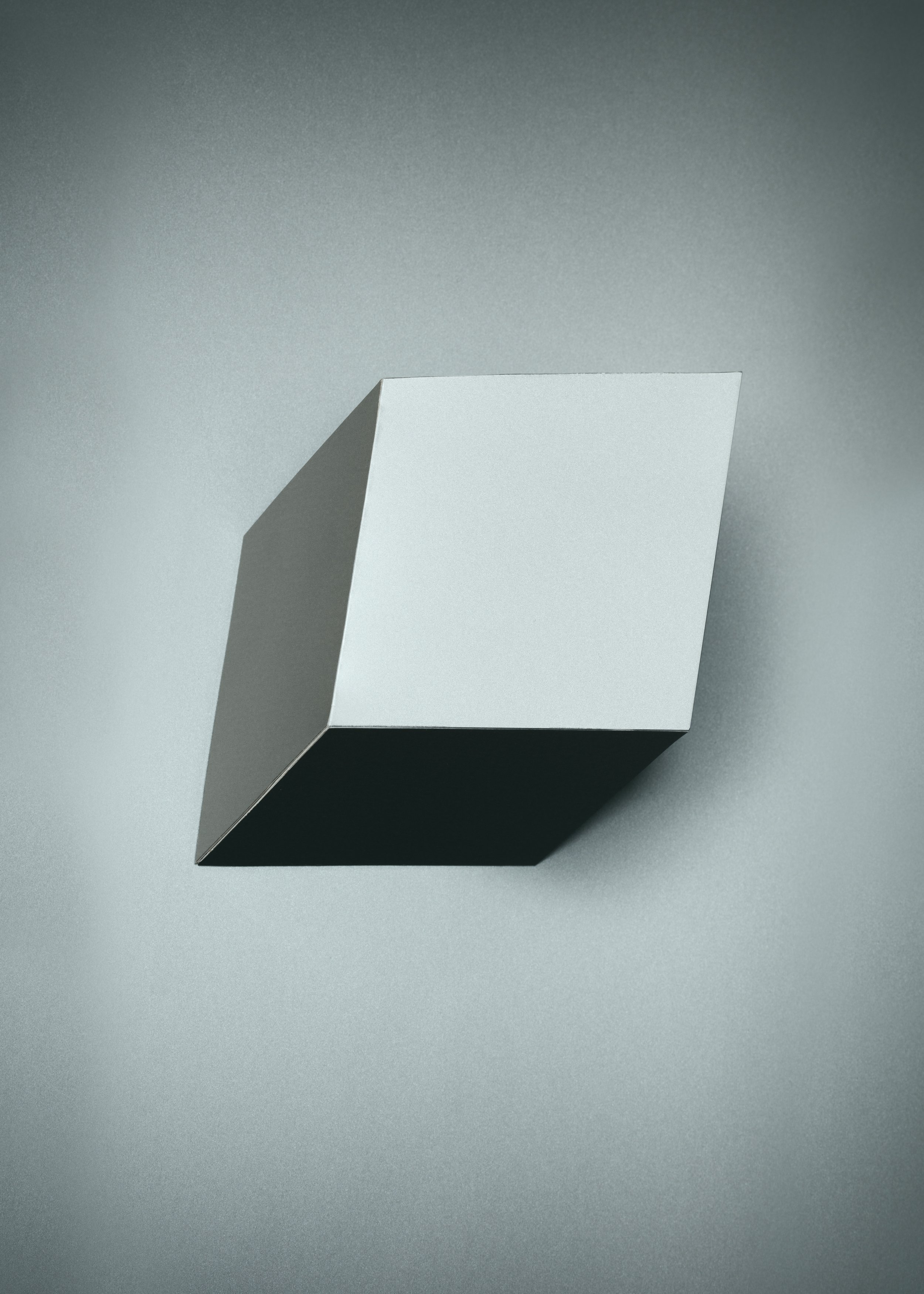 DELPHINE BURTIN - FRAGMENTS