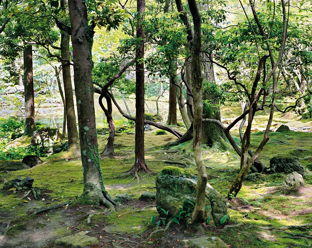 Jacqueline Hassink, Saihō-ji 10, summer, Southwest Kyoto, 30 May 2009 (13:00–15:00)
