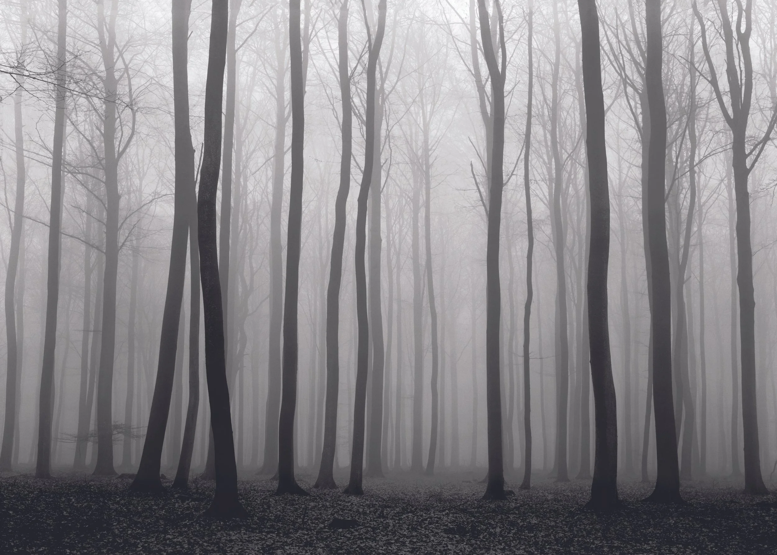 VINCENT VALLARINO - TIMELESS BEAUTY, UNSEEN REALITIES