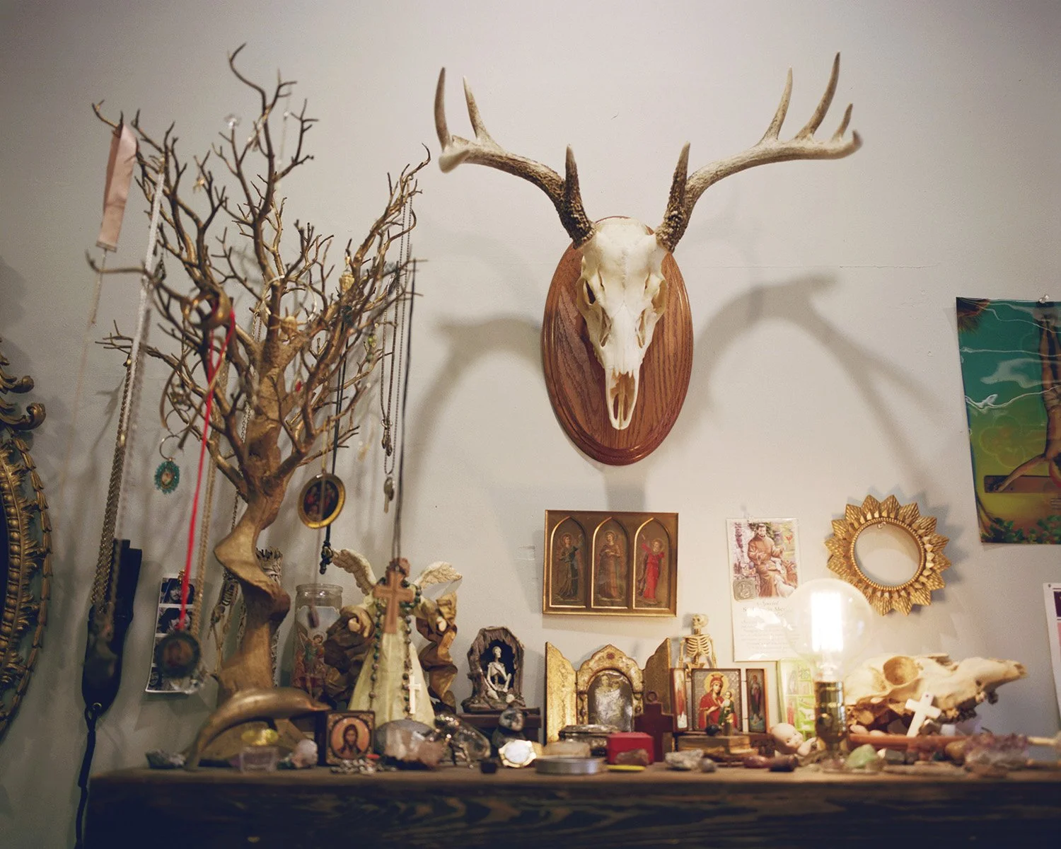 MODEL MAYHEM_PLATE_020_5x4.jpg