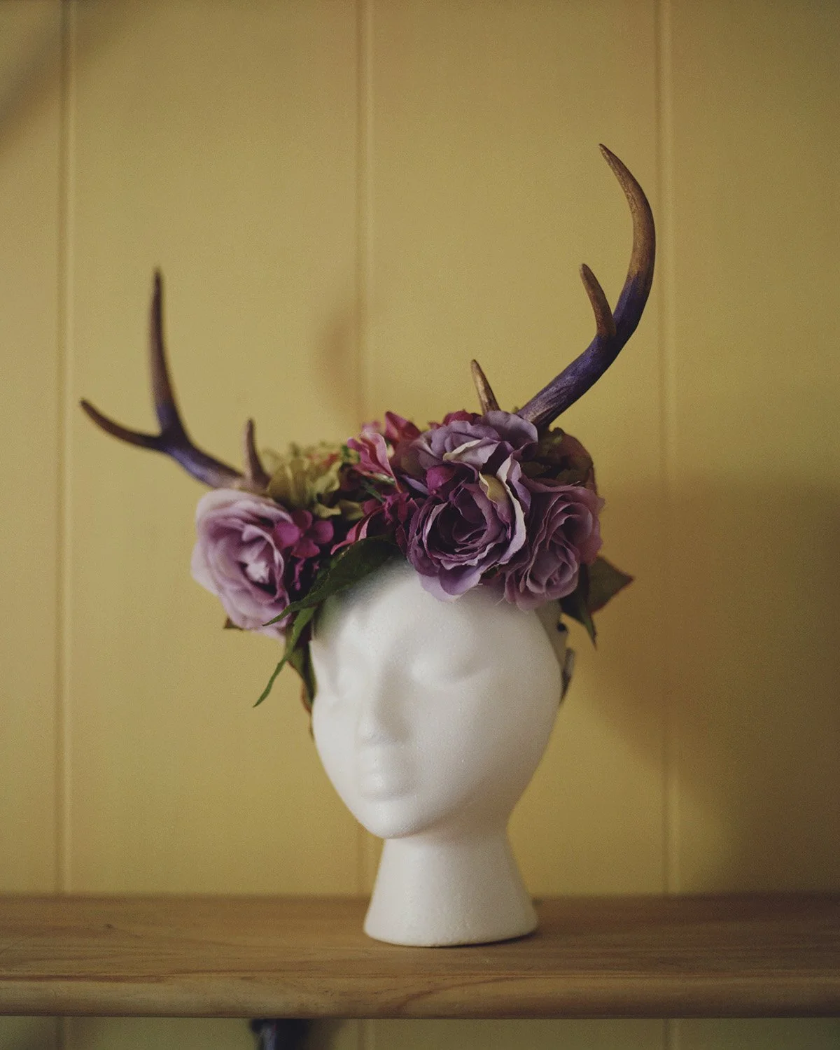 MODEL MAYHEM_PLATE_022_4x5.jpg