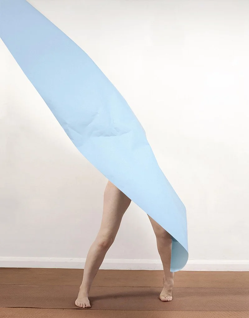 Polly Penrose, Forget Me Not, 2015