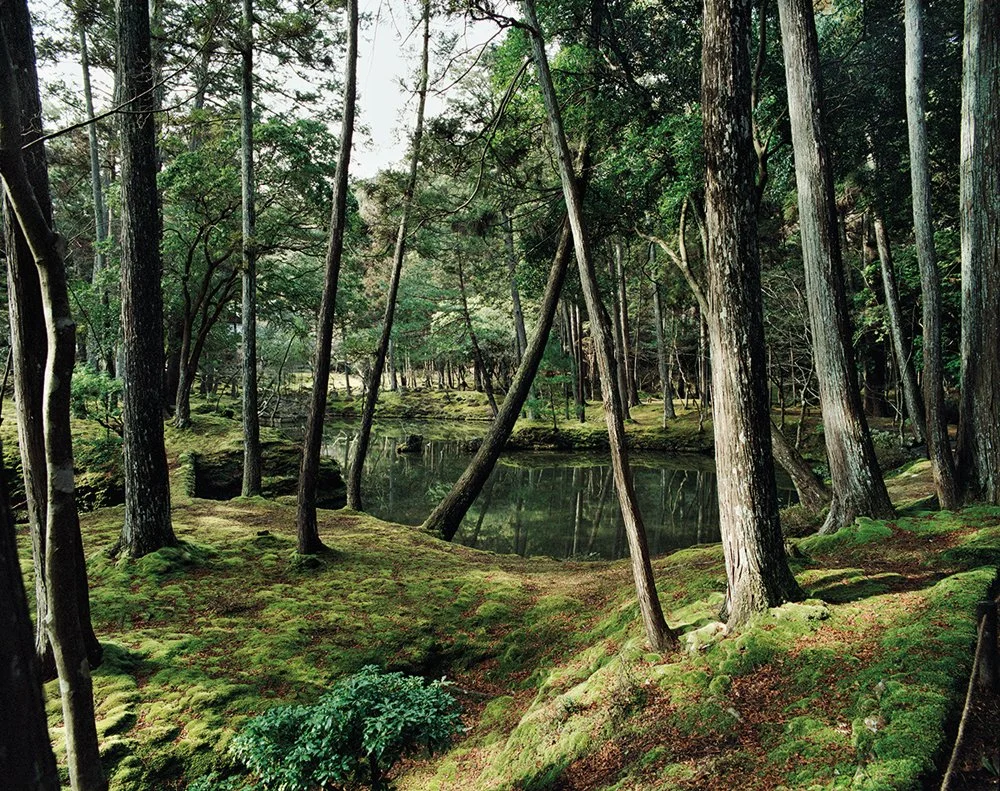 Jacqueline Hassink Saihō-ji 9, Winter, Southwest Kyoto, 11 February 2011 (13:00–15:00) Chromogenic prints50 x 63" Shared edition of 7Additional sizes available, please contact gallery for more information