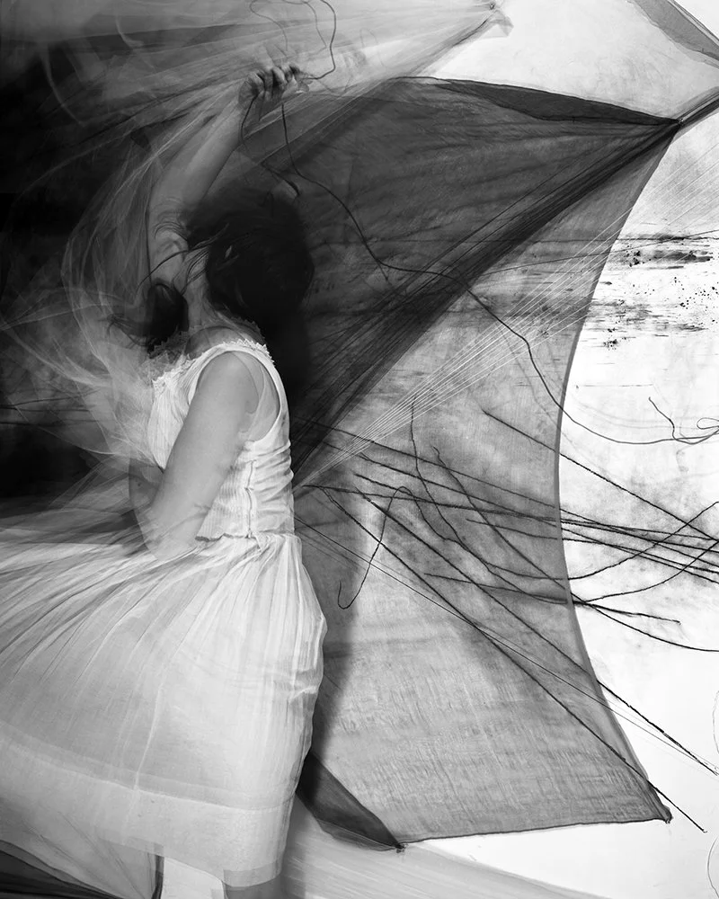 Lauren Semivan Echo, 2013 Archival ink prints 30 x 24"    Edition of 10 50 x 40"    Edition of 5