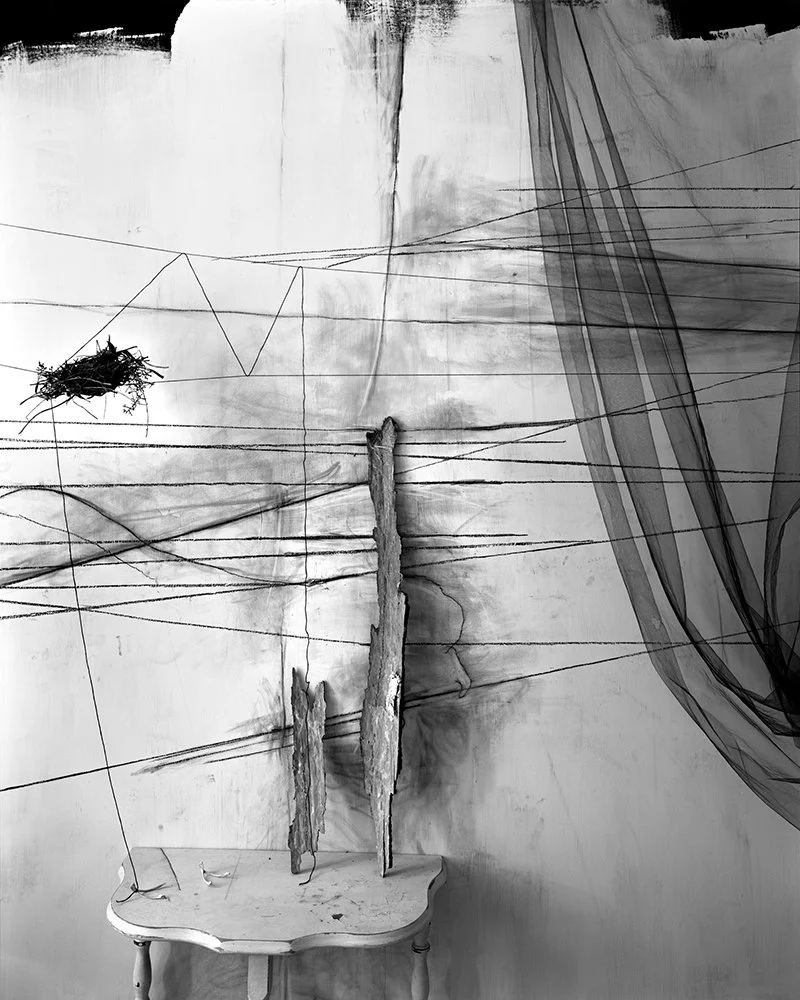 Lauren Semivan Wind #2, 2012 Archival ink prints 24 x 30"    Edition of 10 40 x 50"    Edition of 5