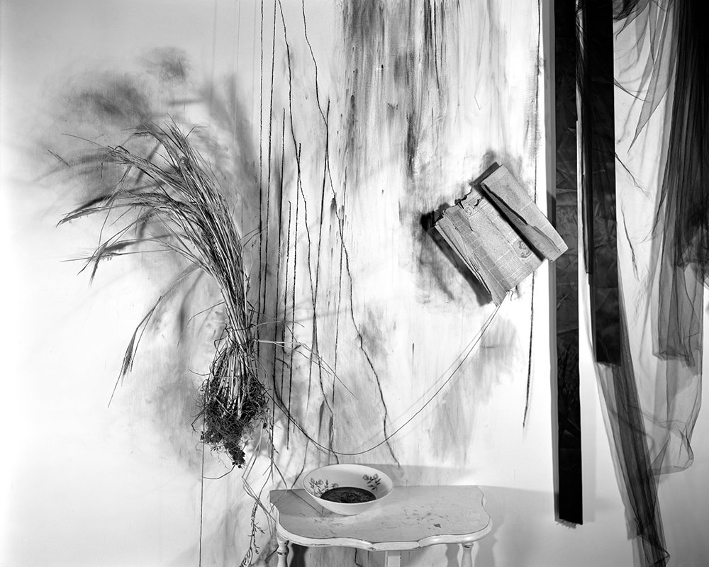 Lauren Semivan Ink, 2013 Archival ink print 24 x 30"    Edition of 10 40 x 50"    Edition of 5