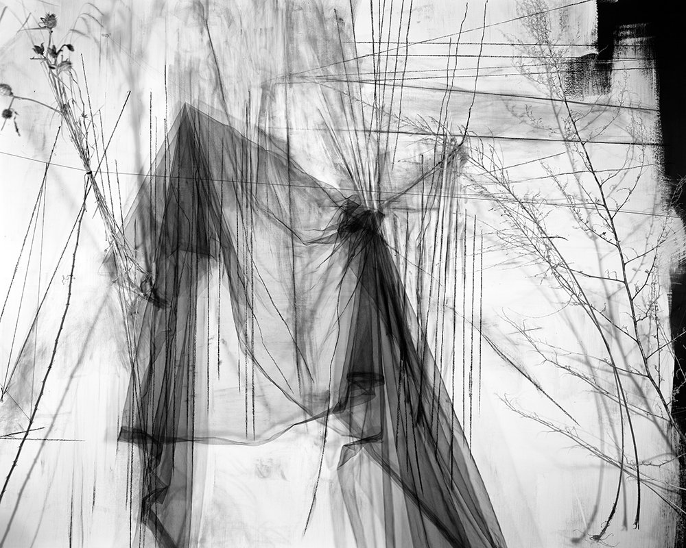 Lauren Semivan May, 2011 Archival ink prints 24 x 30"    Edition of 10 40 x 50"    Edition of 5