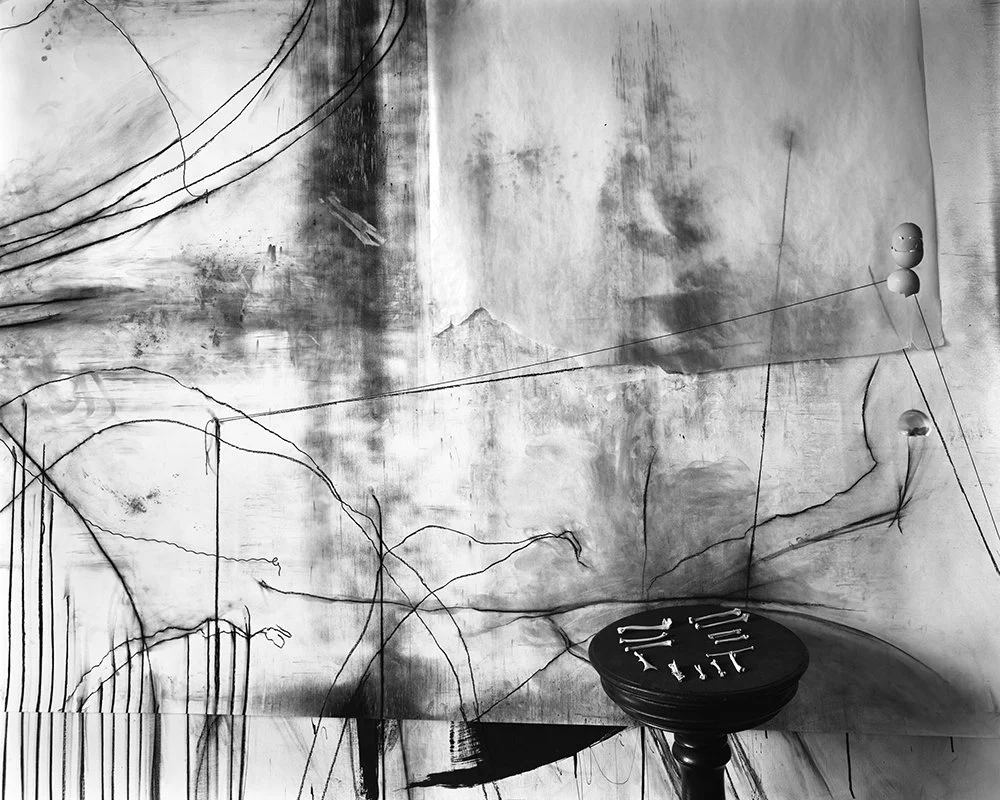 Lauren Semivan Untitled (Bones), 2012 Archival ink prints 24 x 30"    Edition of 10 40 x 50"    Edition of 5