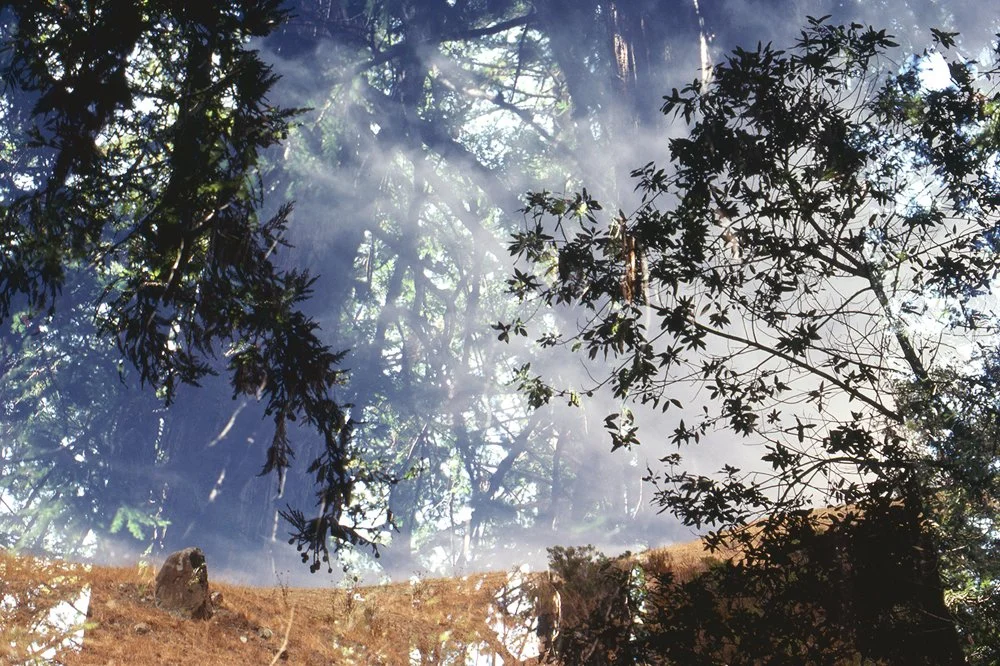 The Family Acid Big Sur Double Exposure, August 1978 Archival pigment ink prints 20 x 24"    Edition of 8
