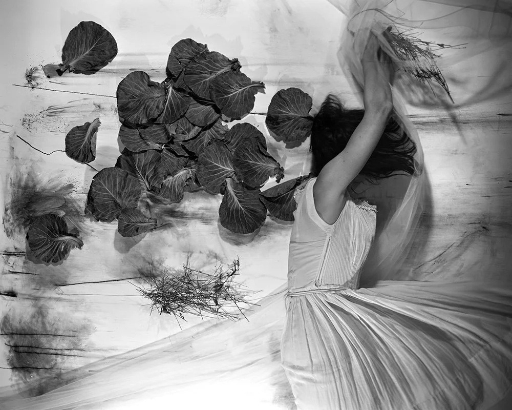 Lauren Semivan July 1, 2013 Archival ink prints 24 x 30"    Edition of 10 40 x 50"    Edition of 5