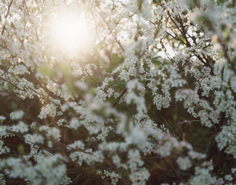 Katherine Wolkoff Untitled 16, Block Island, Nocturne, 2005 Archival Pigment Print 20x24" Edition of 7 30x40" Edition of 7