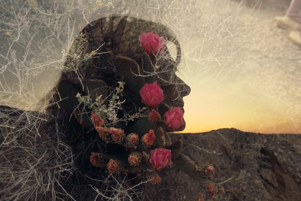 The Family Acid Mary, Queen of the Cactus, April 1986 Archival pigment ink prints 20 x 24"    Edition of 8