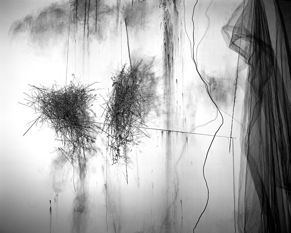 Lauren Semivan June 27, 2013 Archival ink prints 24 x 30"    Edition of 10 40 x 50"    Edition of 5