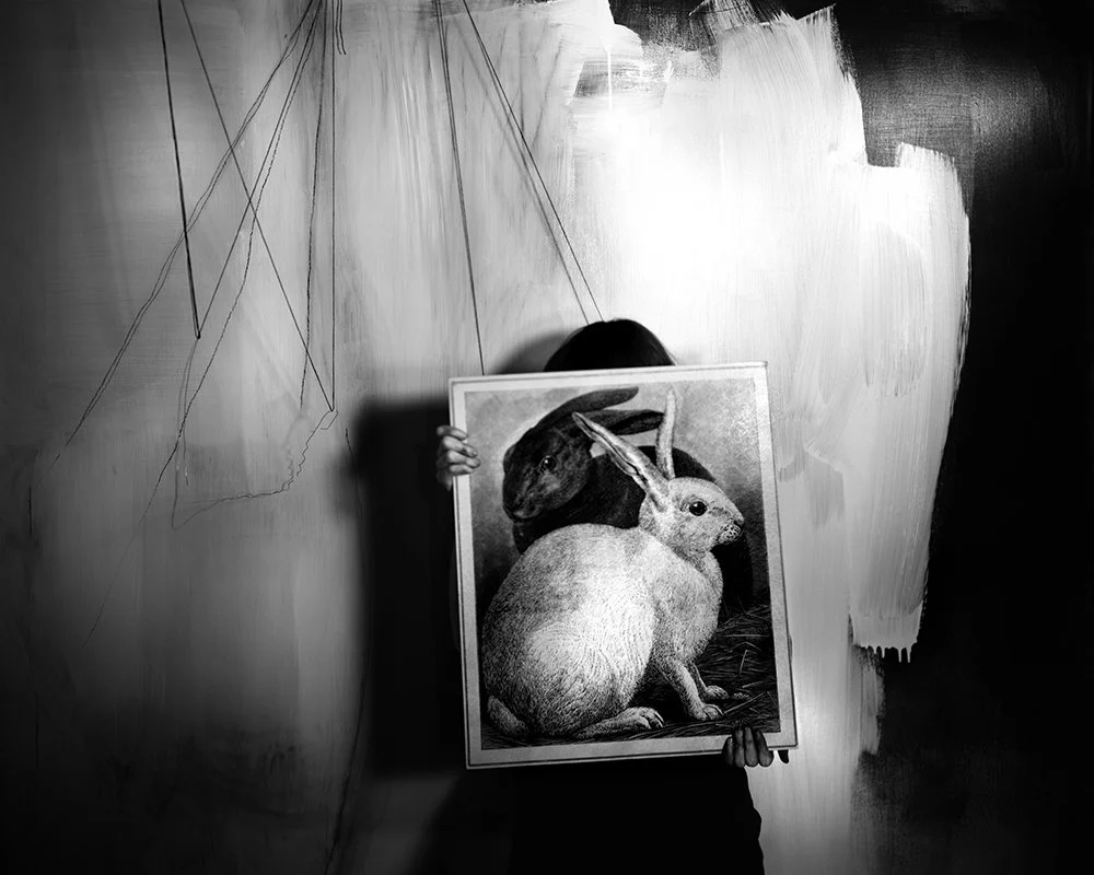 Lauren Semivan Black and White Rabbits, 2008 Archival ink prints 24 x 30"    Edition of 10 40 x 50"    Edition of 5