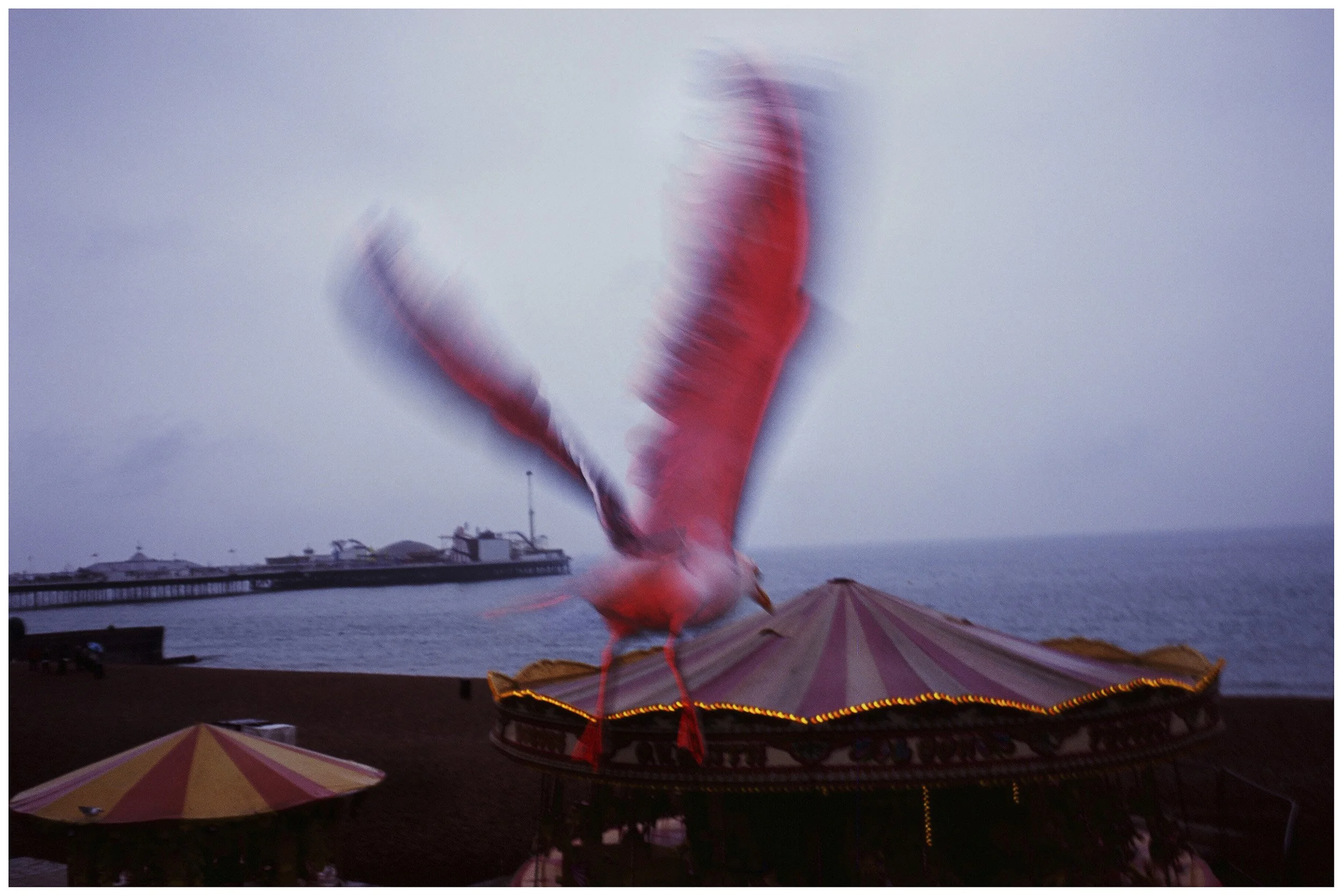 FUN FAIR_PLATE_004_3x2.jpg