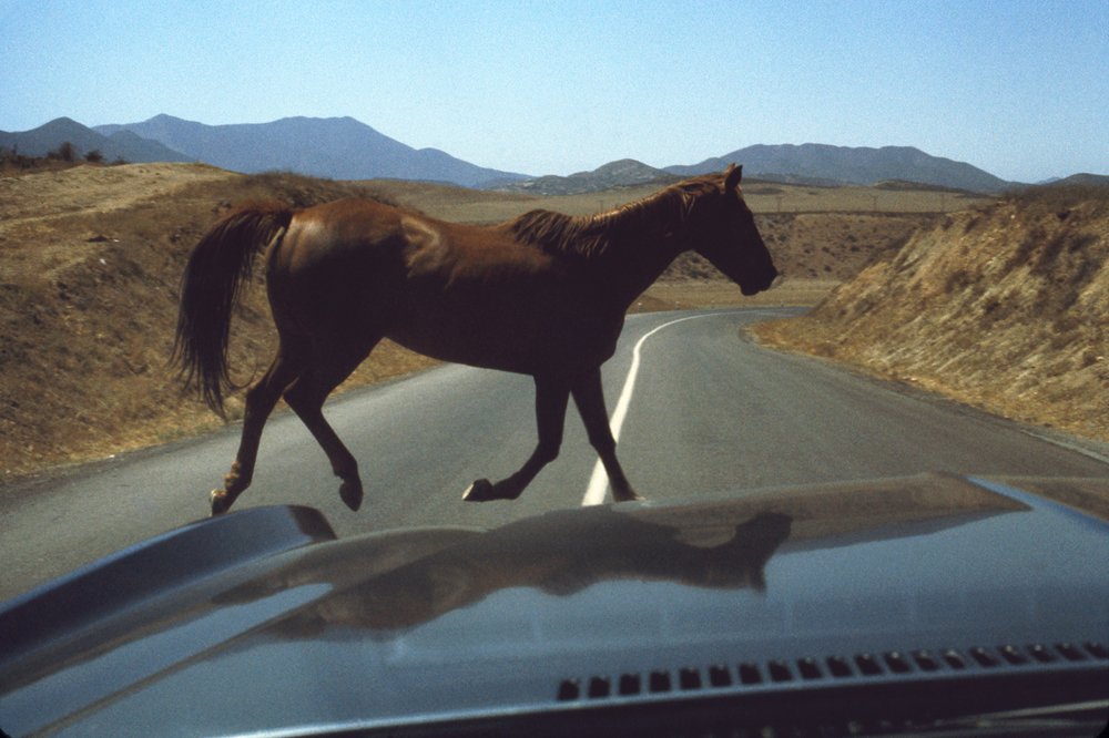 The Family Acid Wild Horse Encounter, August 1974 Archival pigment ink prints 20 x 24"    Edition of 8